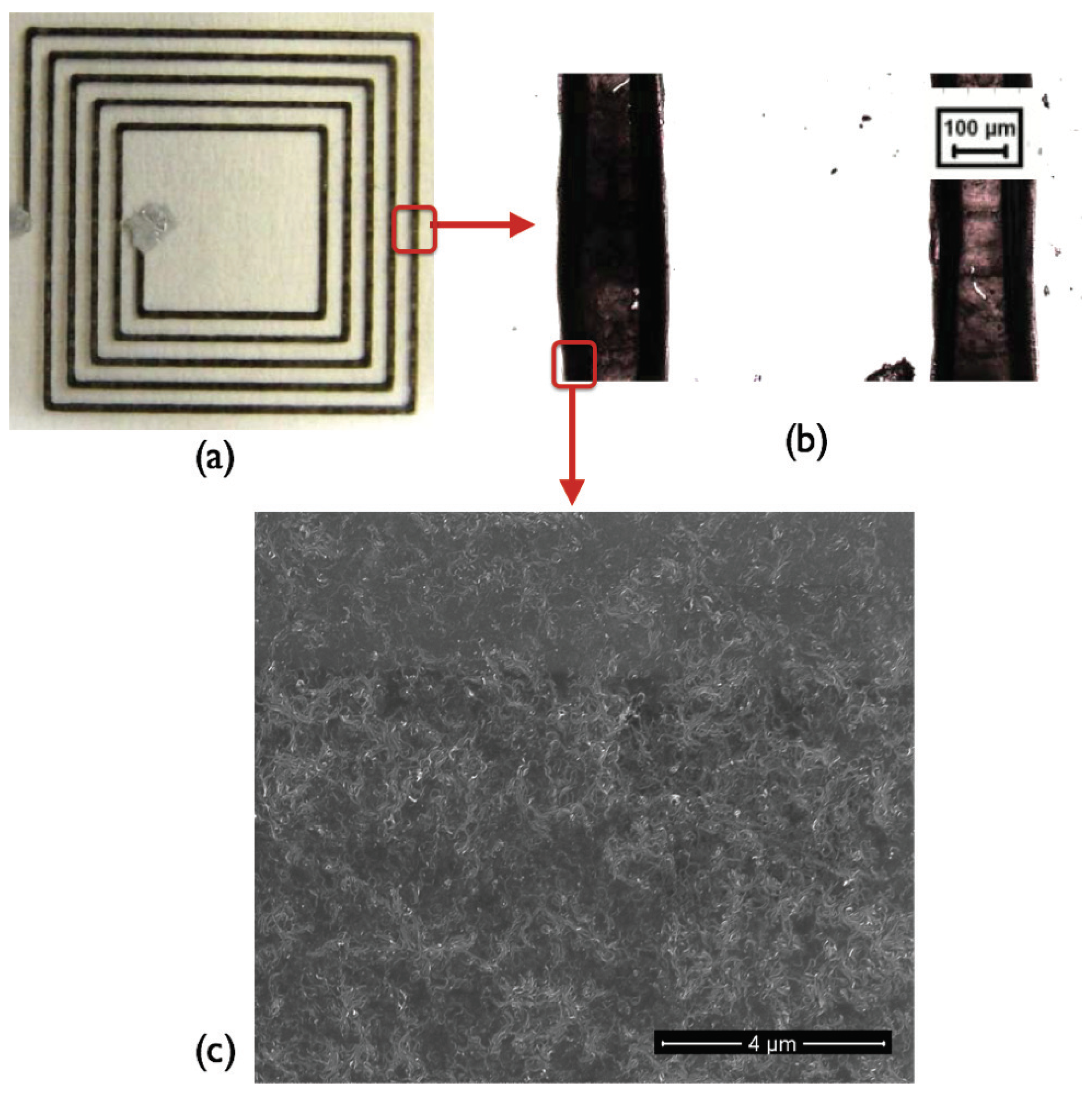 Sensors 24 01585 g006