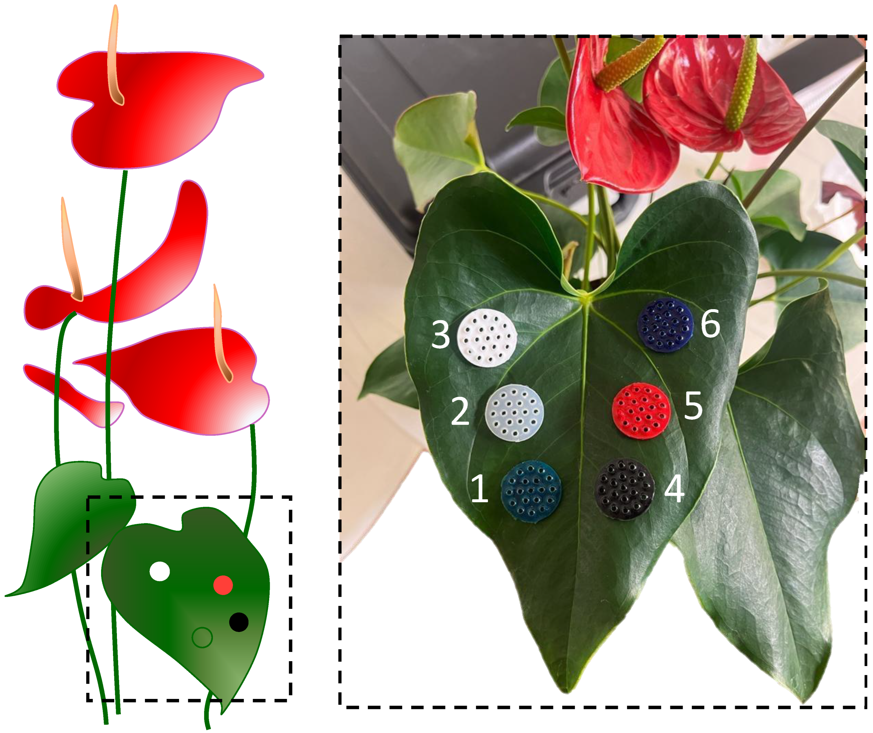 Sensors 24 01611 g003