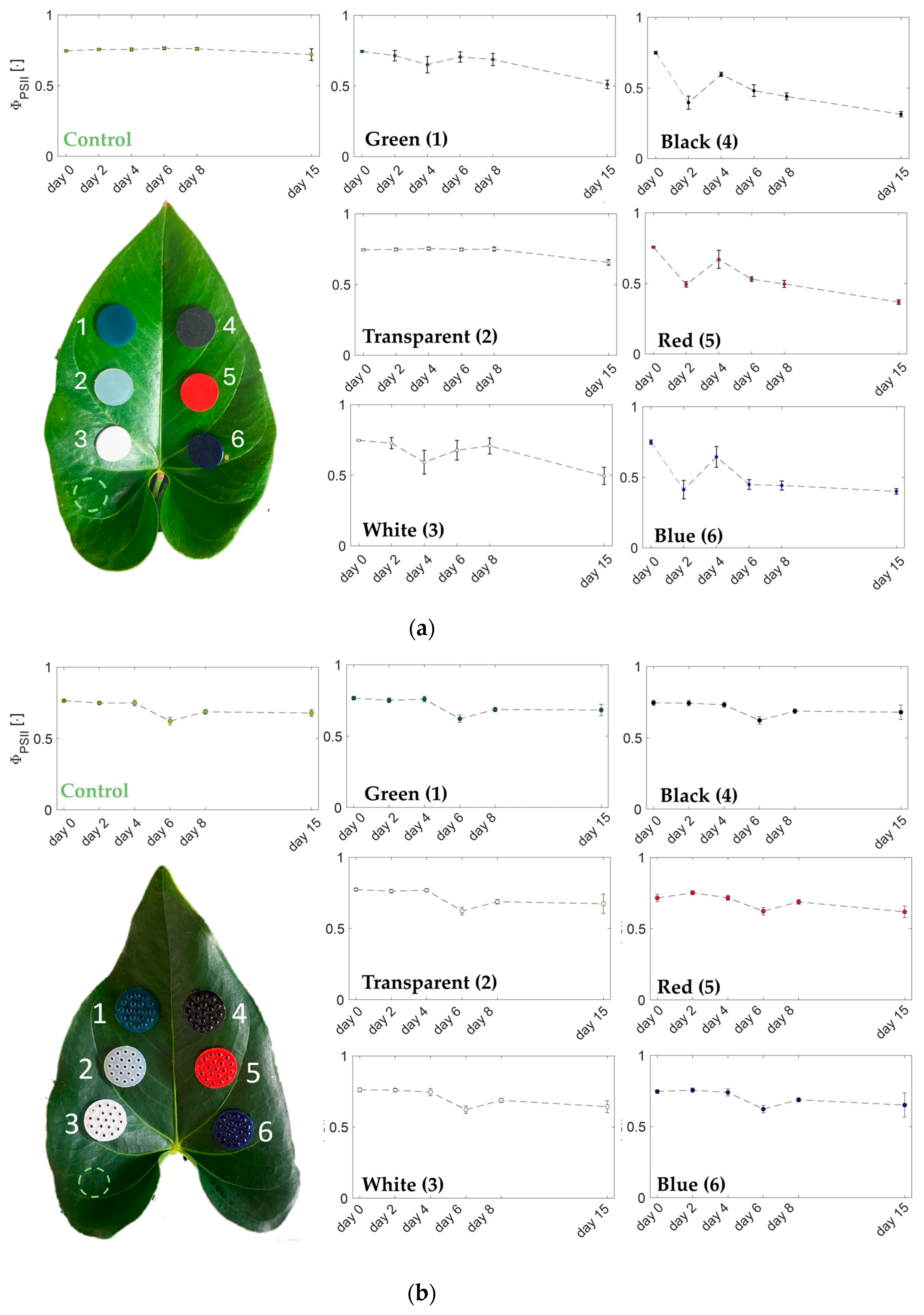 Sensors 24 01611 g004