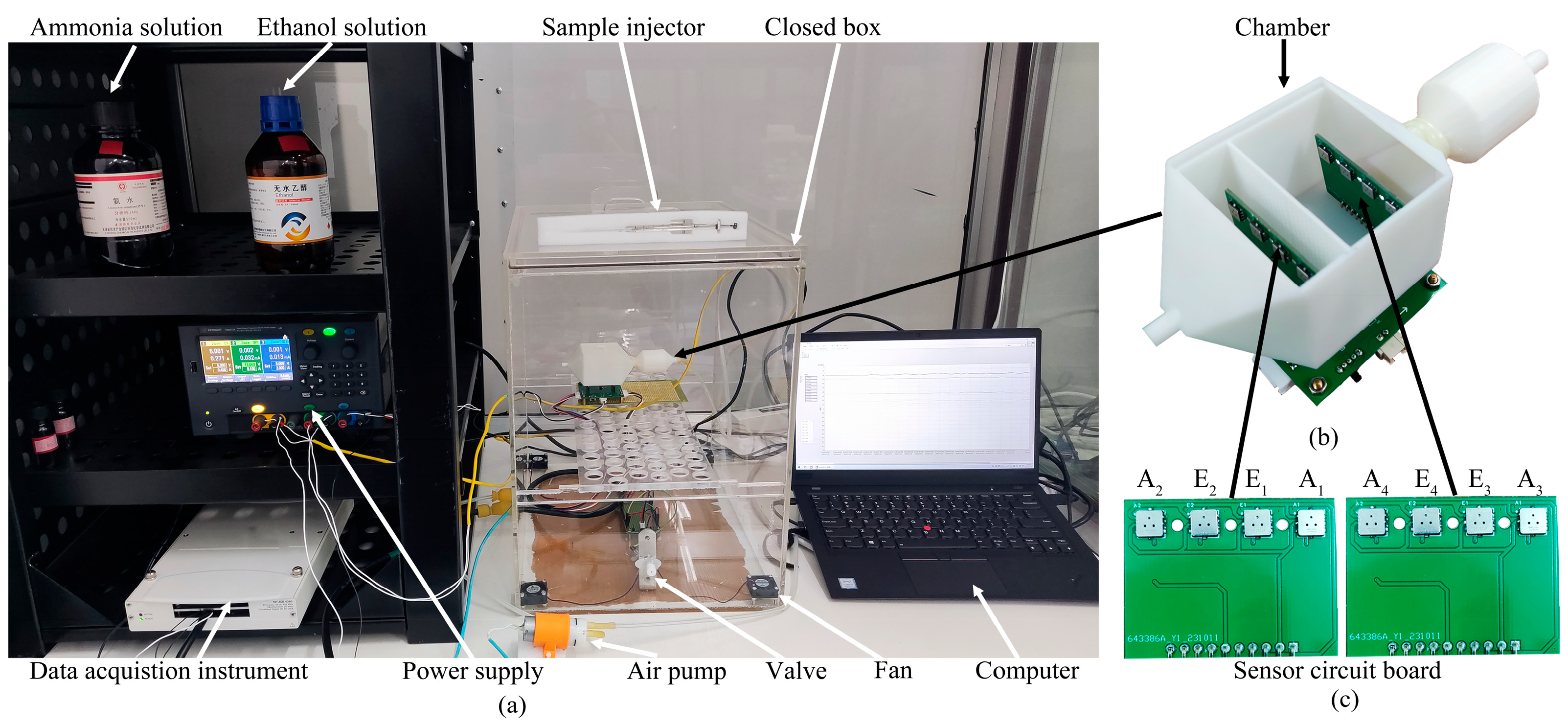 Sensors 24 01628 g002
