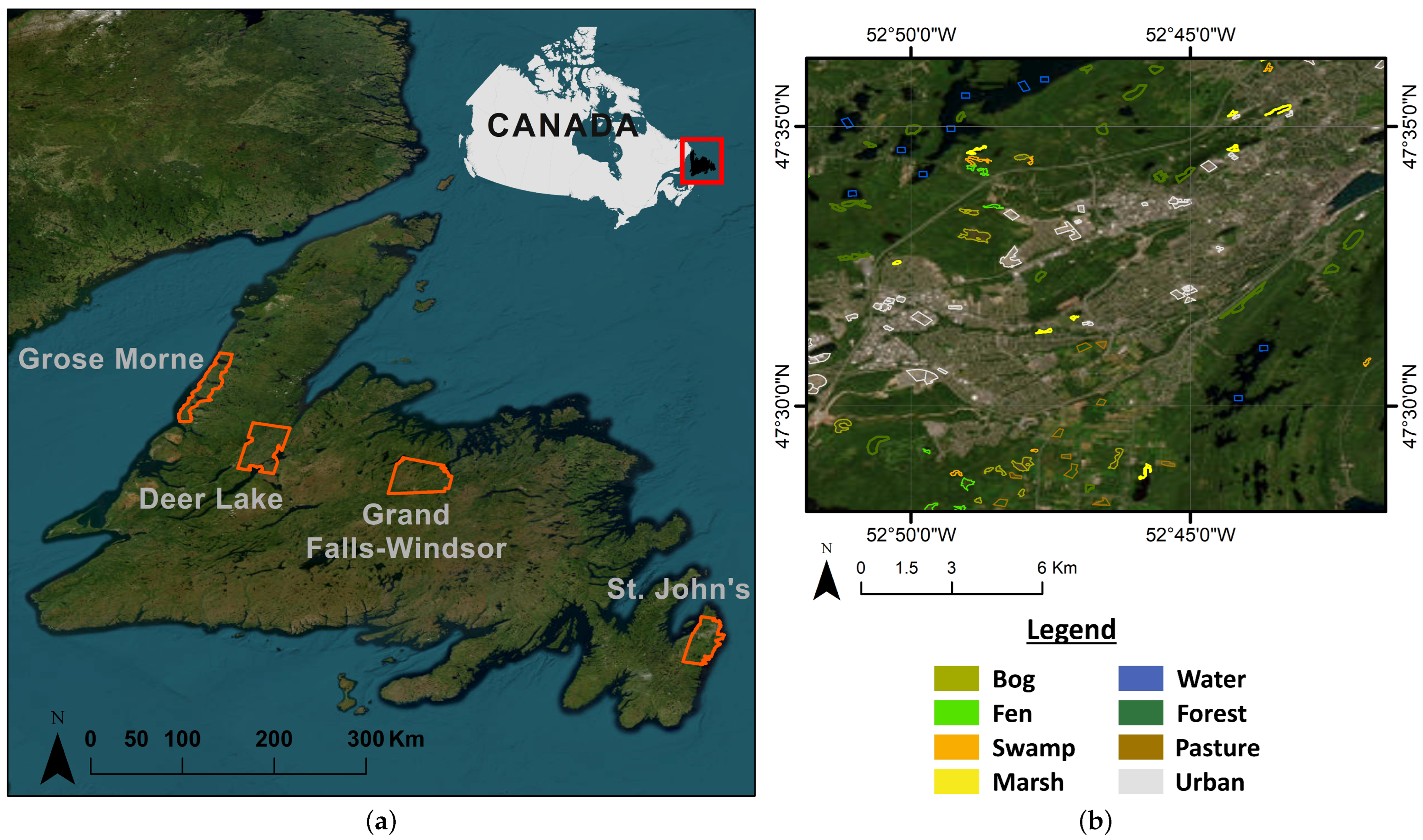 Sensors 24 01651 g001