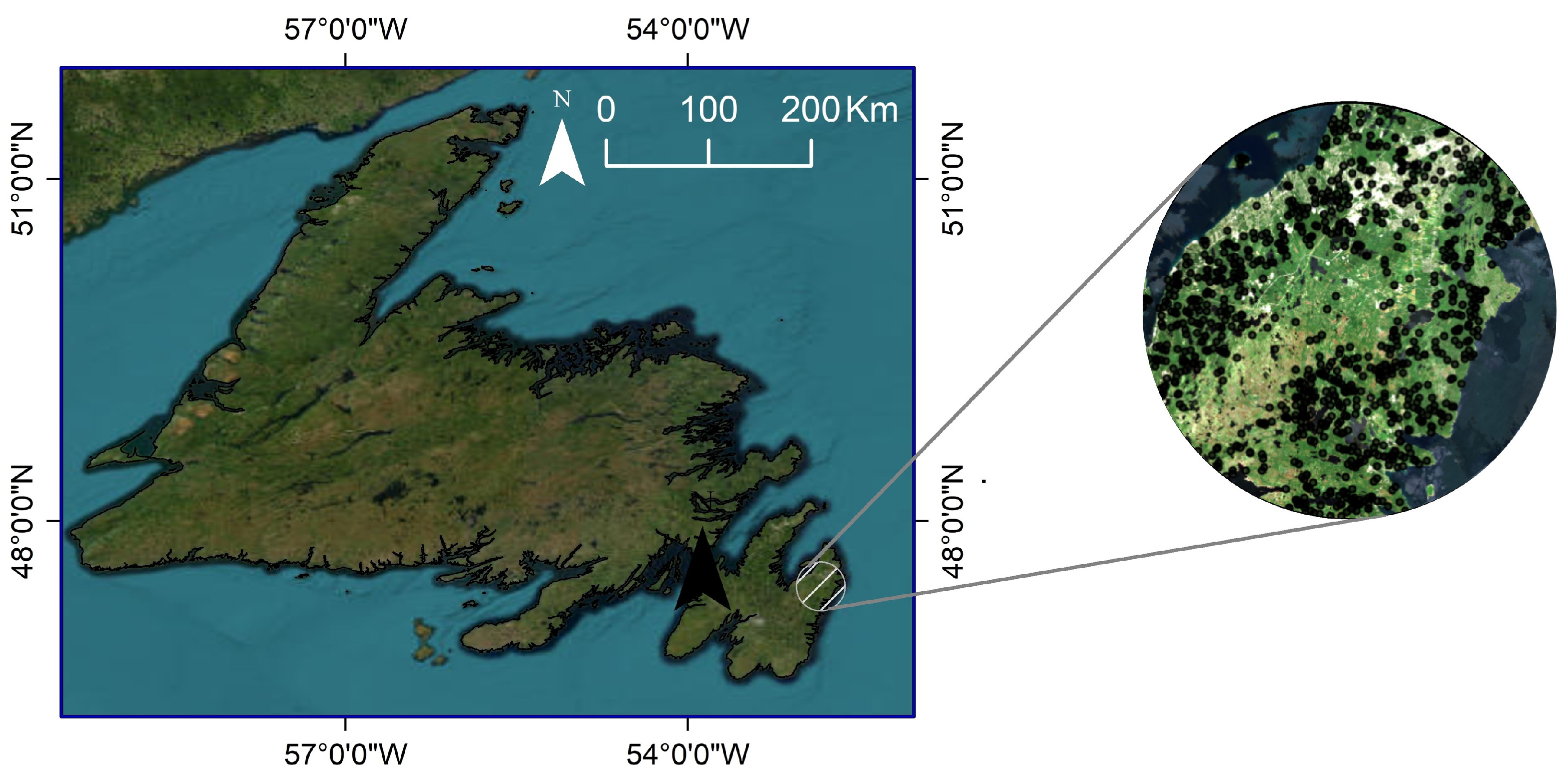 Sensors 24 01651 g002