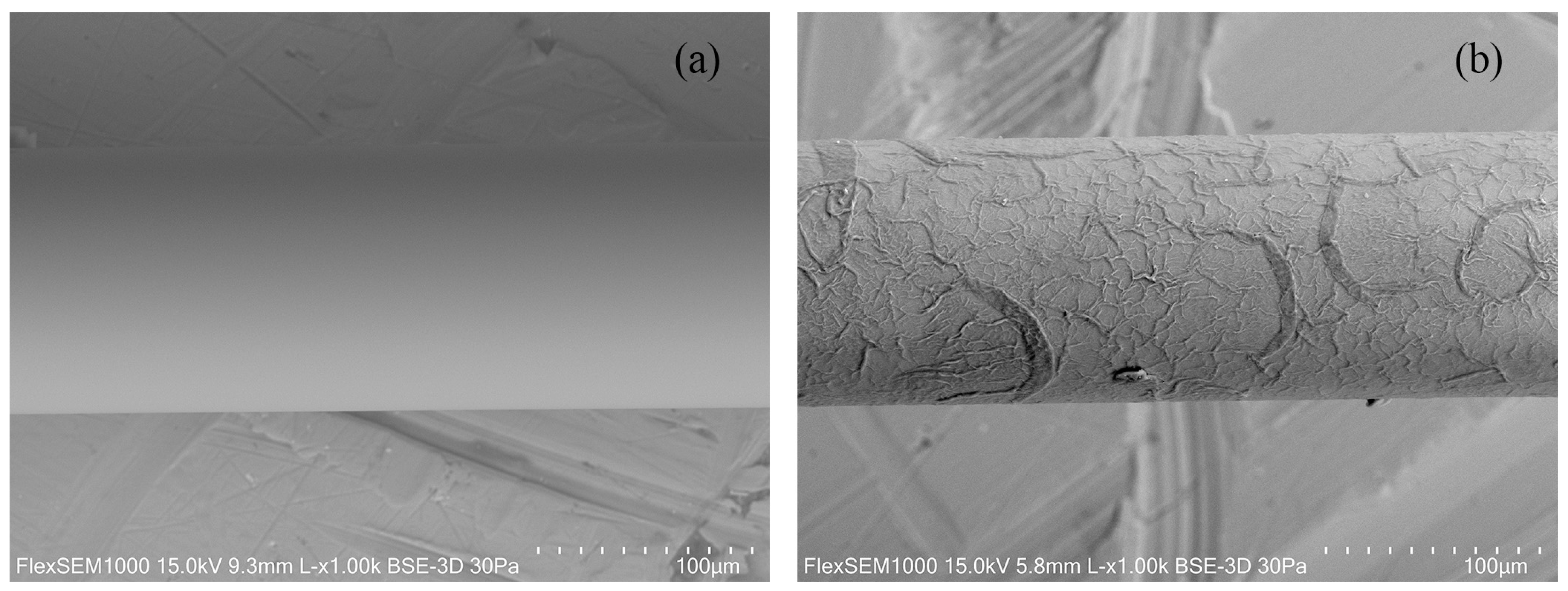 Sensors 24 01662 g003