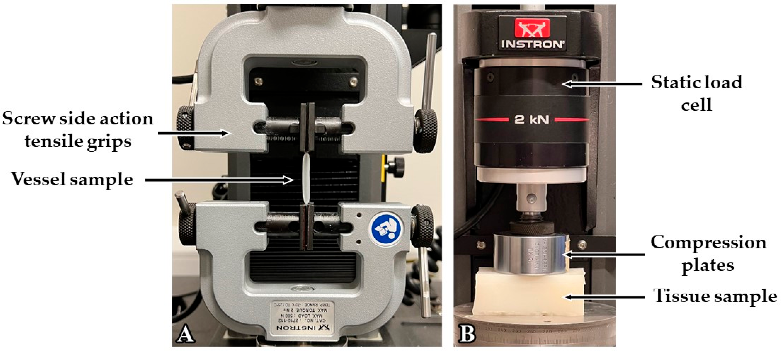 Sensors 24 01681 g003