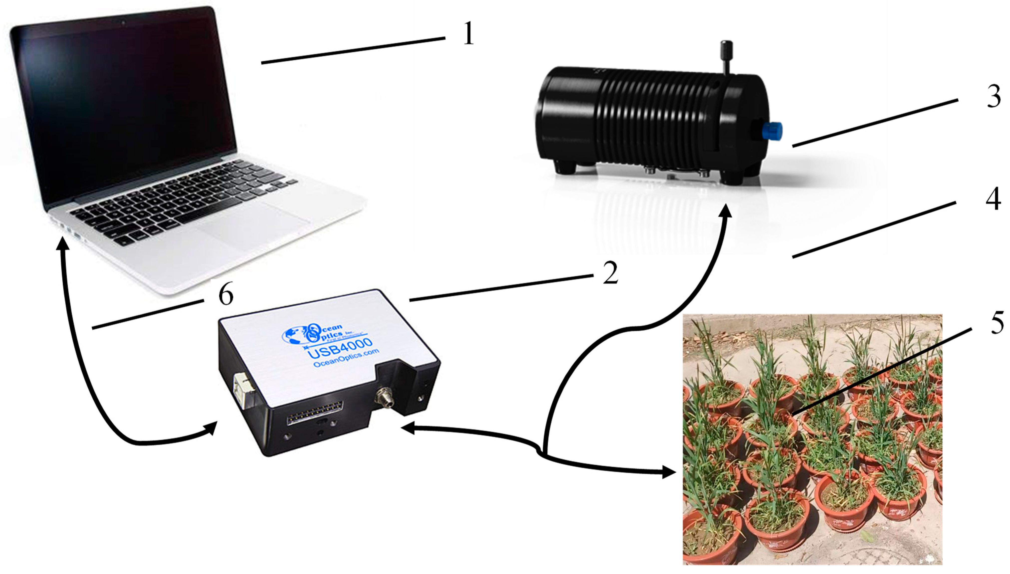 Sensors 24 01693 g003