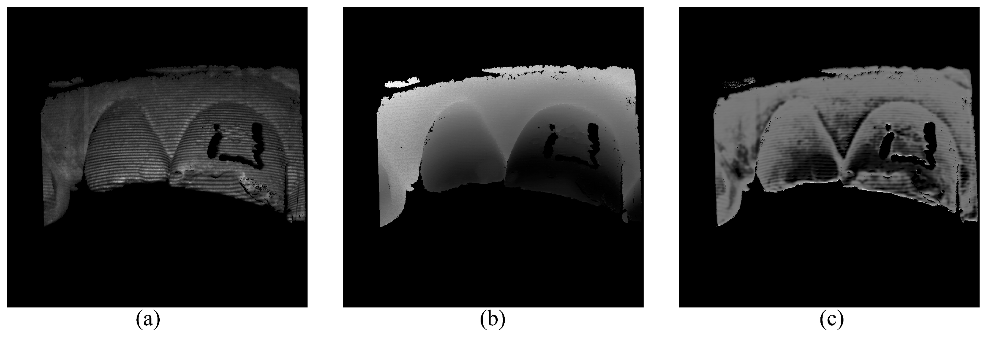 Sensors 24 01701 g003
