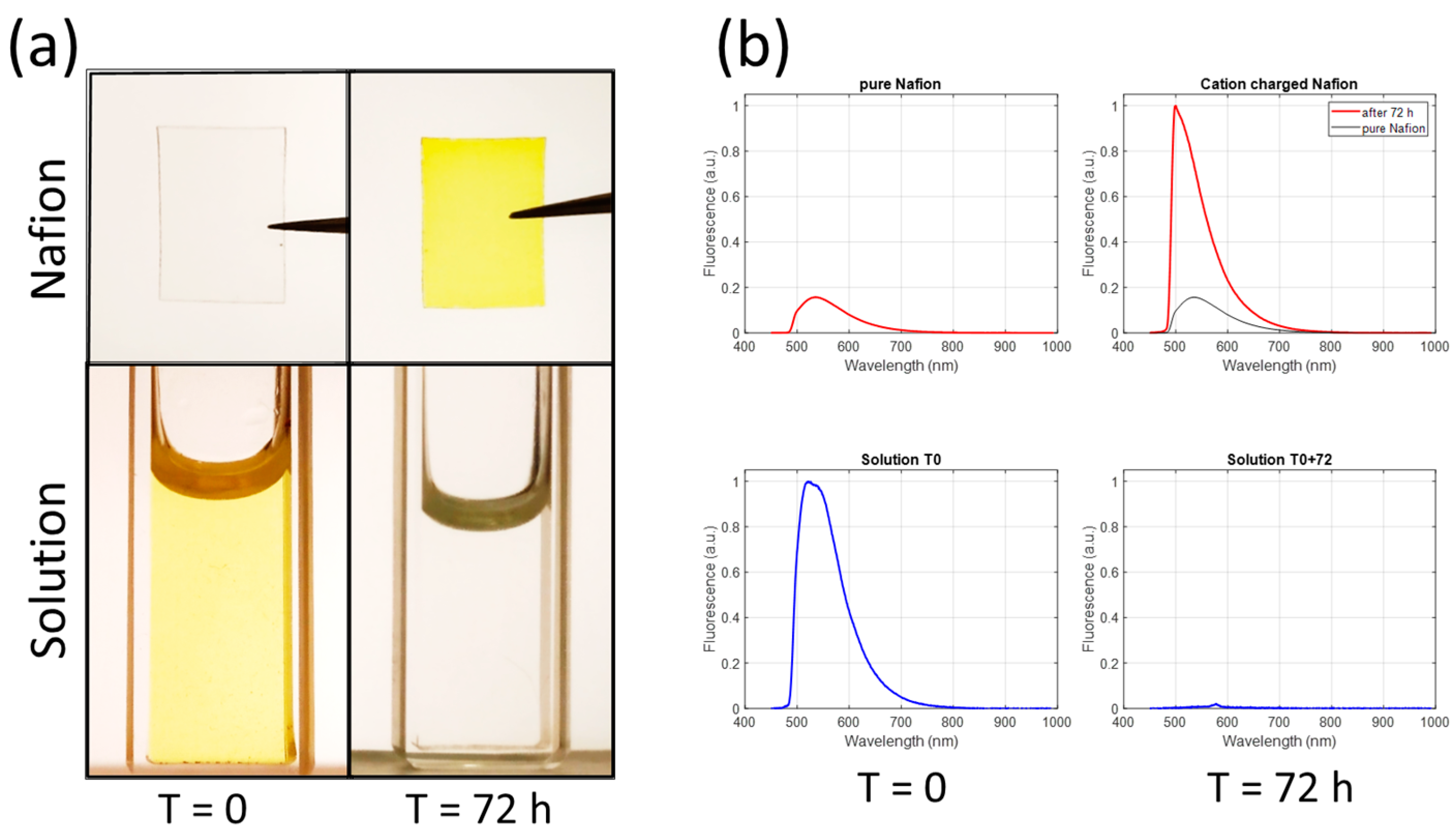 Sensors 24 01705 g008