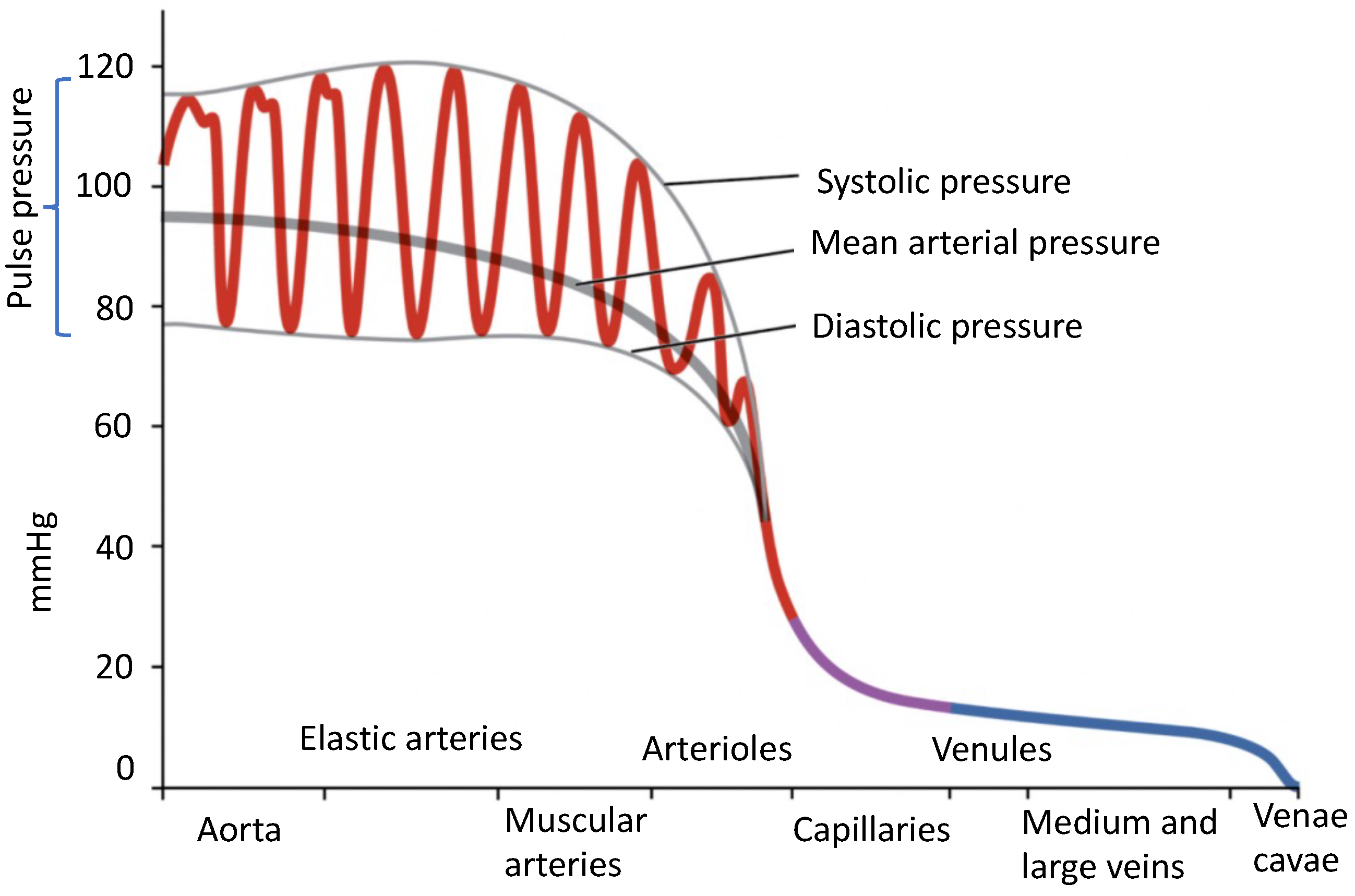 Sensors Free Full Text A Survey On Blood Pressure Measurement ijms-free-full-text-preliminary-study-on-the-effect-of-a-night