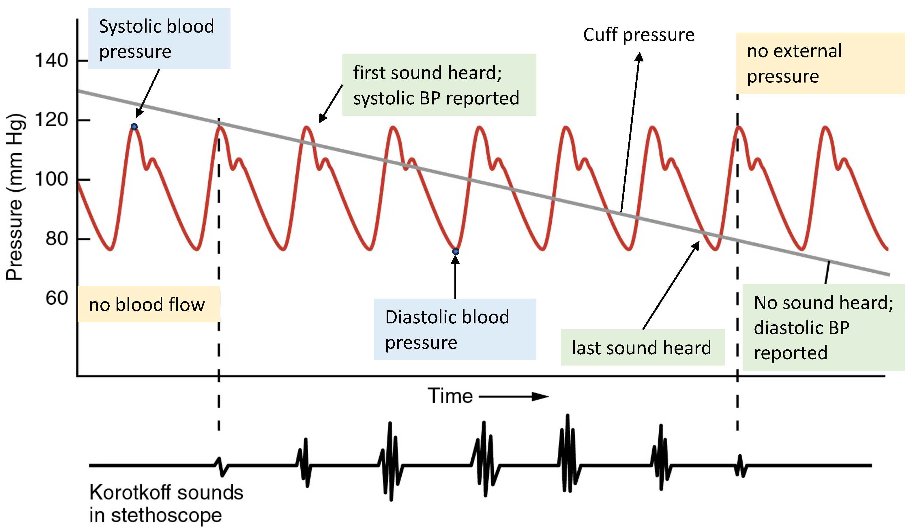 Sensors 24 01730 g002 Sensors 24 01730 g002