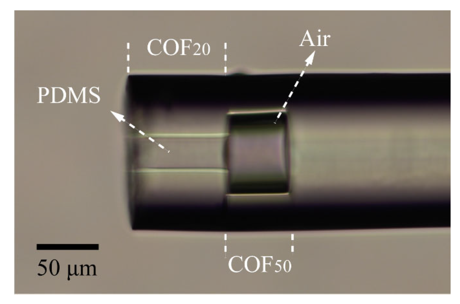 Sensors 24 01766 g002