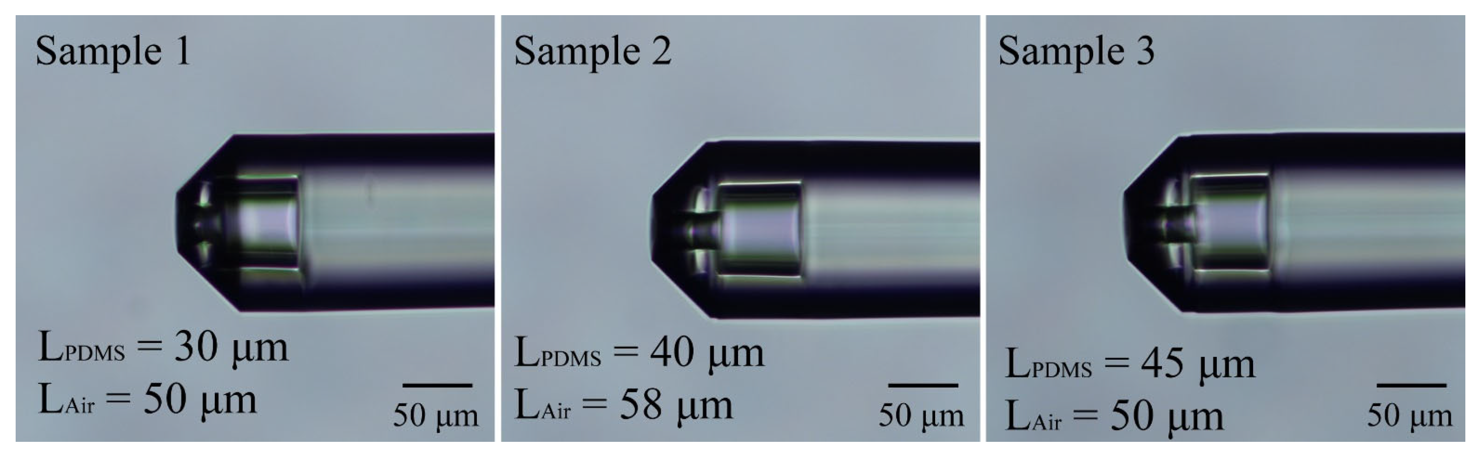 Sensors 24 01766 g010