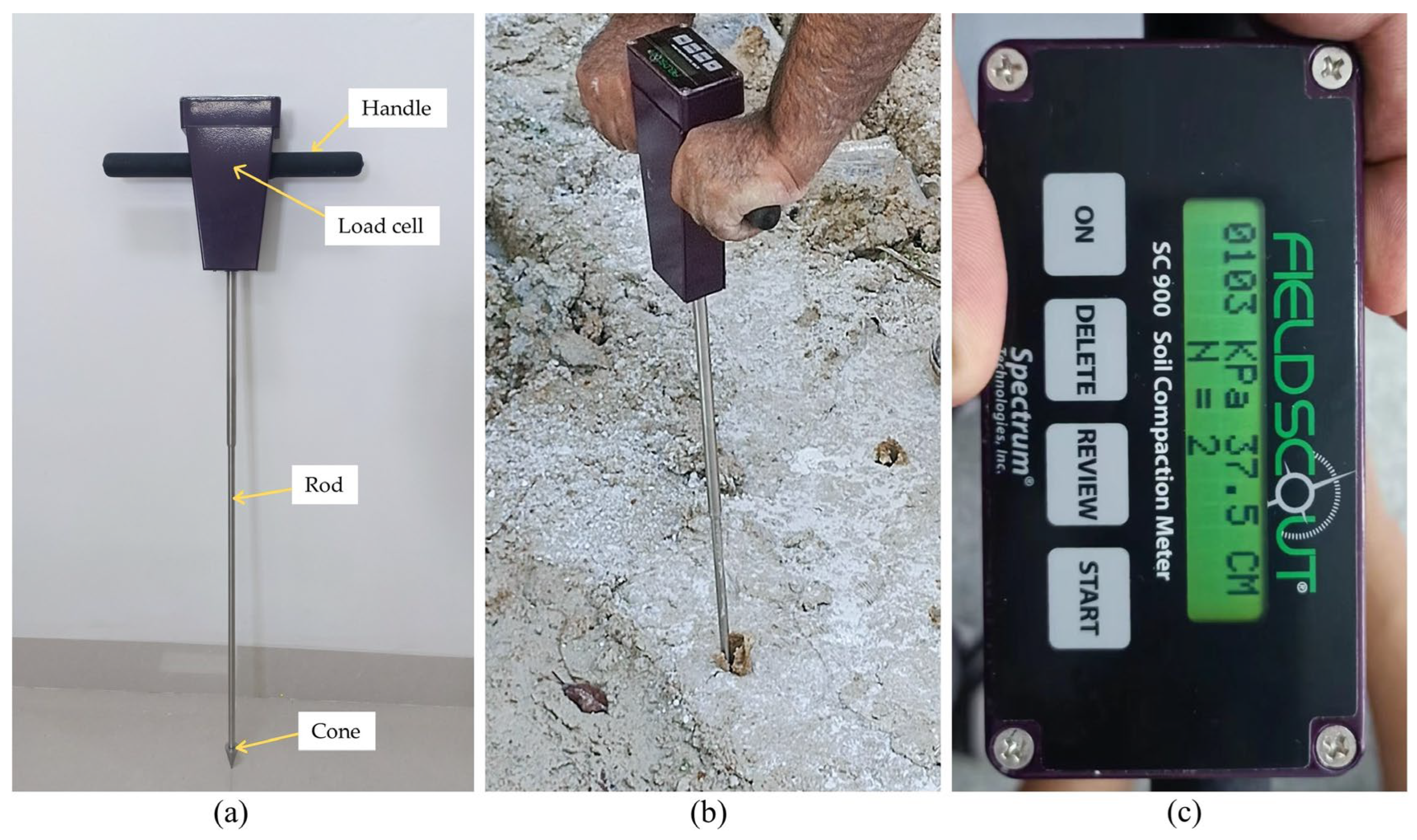 Sensors 24 01779 g006