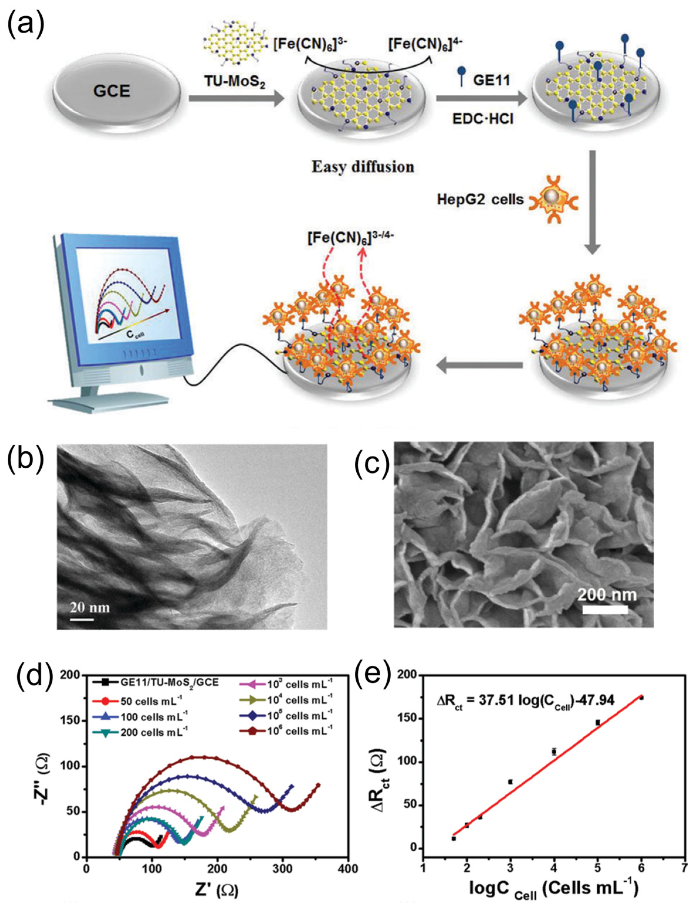 Sensors 24 01817 g004