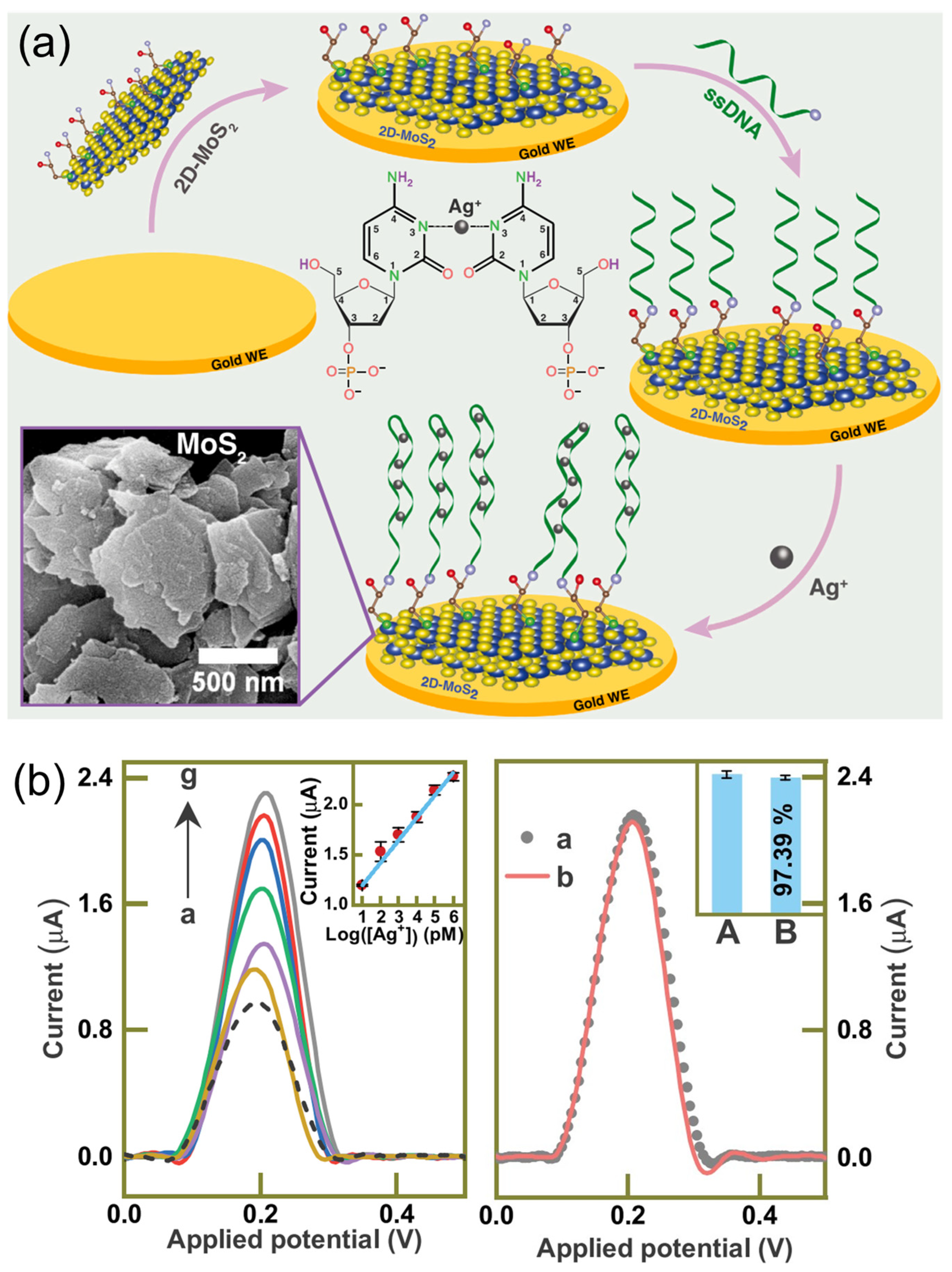 Sensors 24 01817 g007