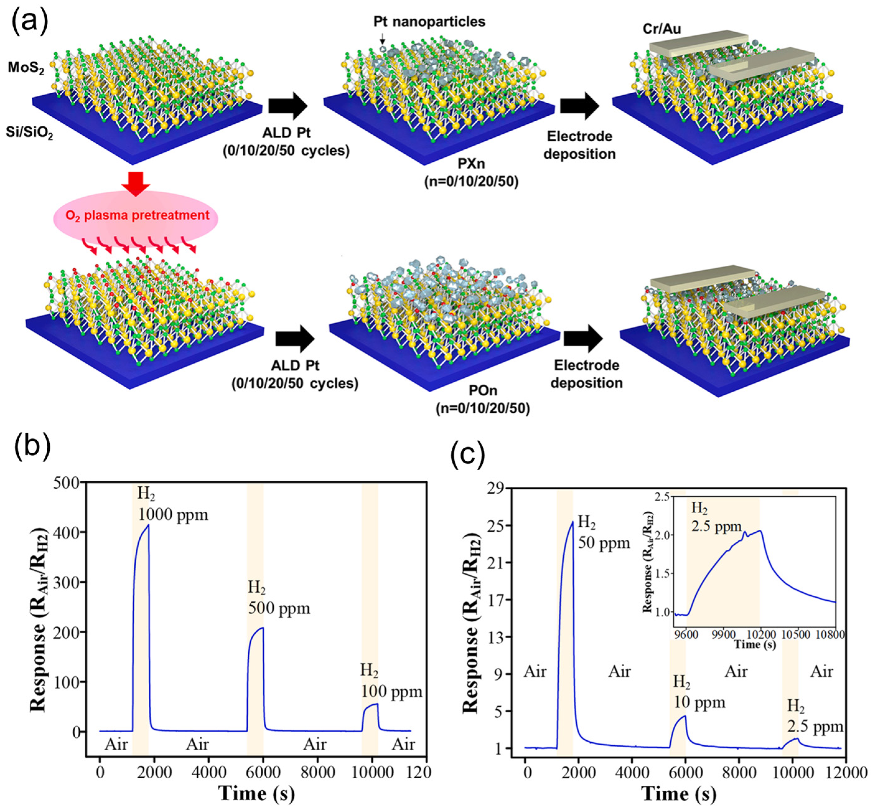 Sensors 24 01817 g010