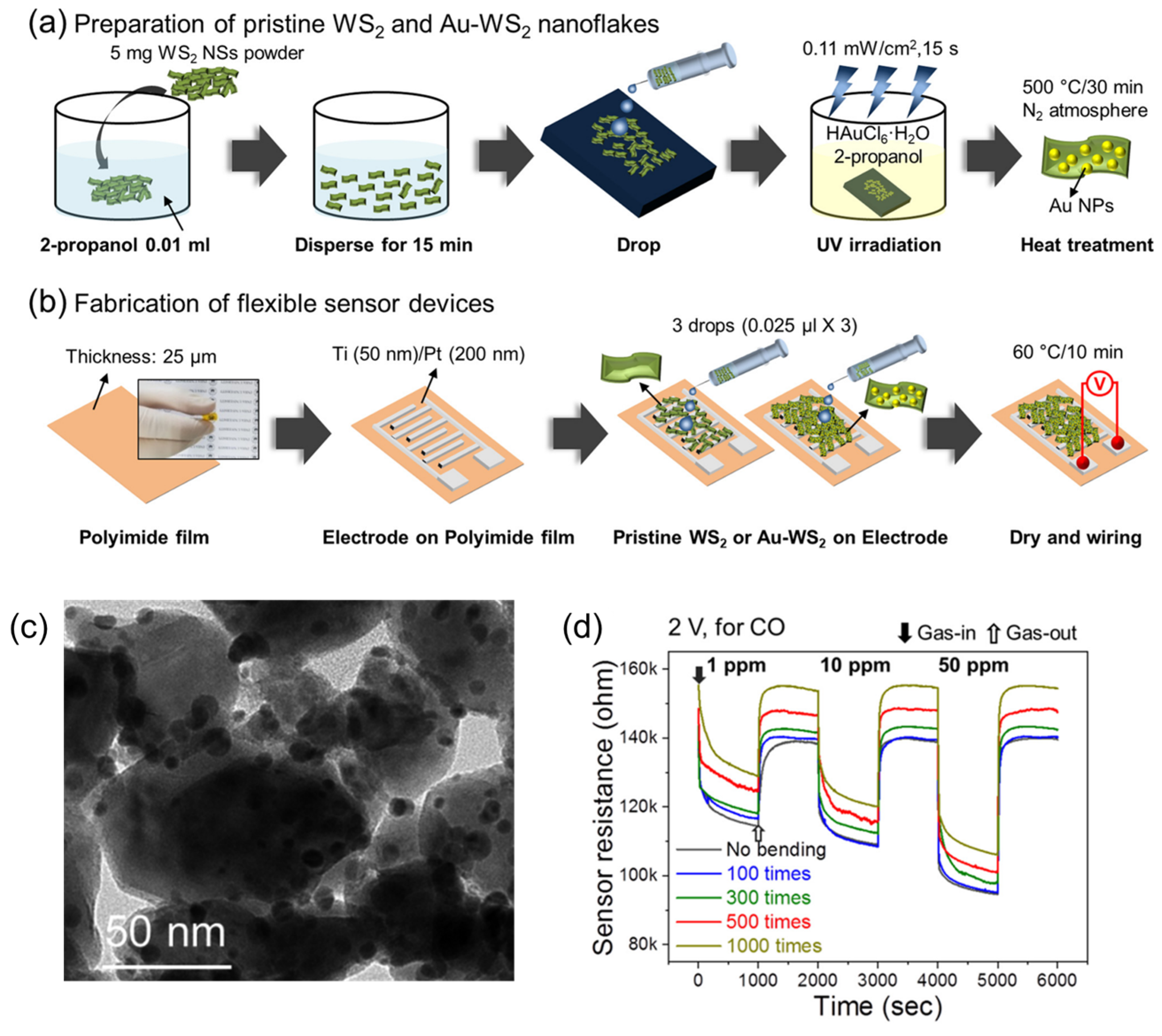 Sensors 24 01817 g011