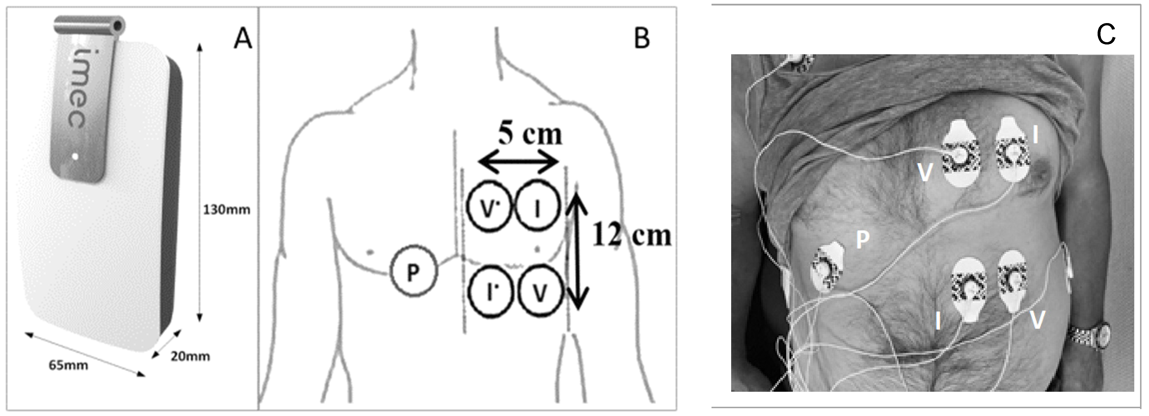 Sensors 24 01890 g002