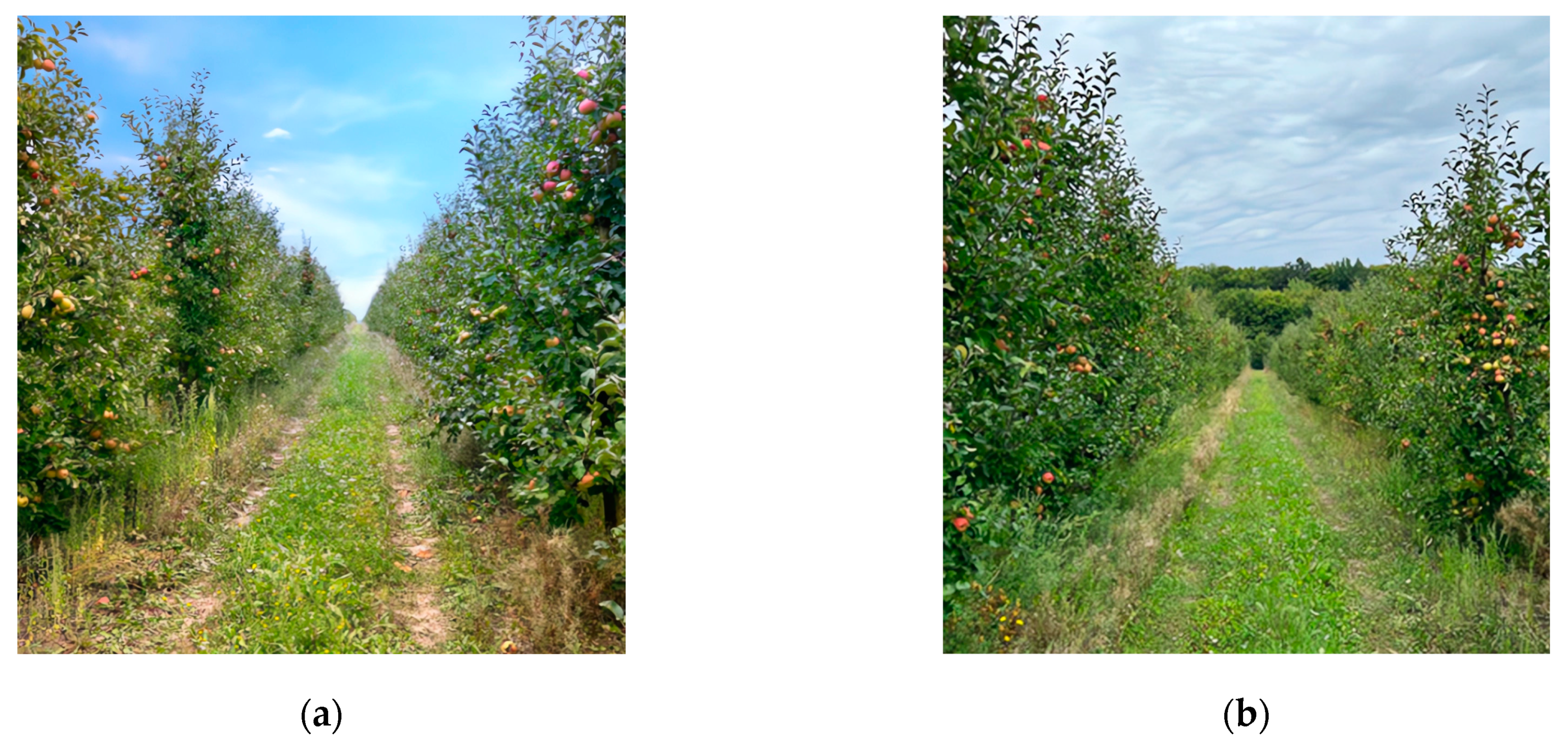 Sensors 24 01913 g010