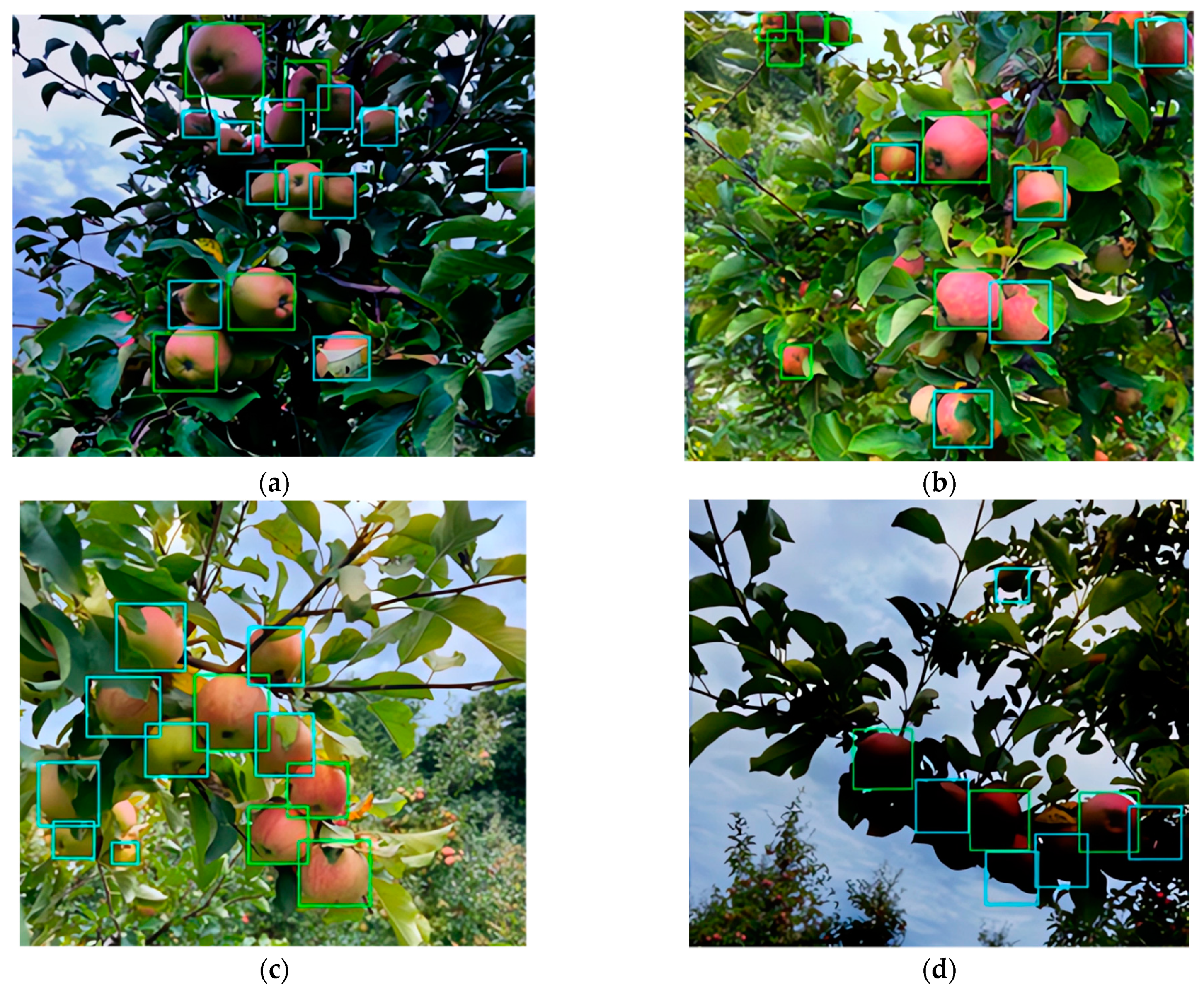 Sensors 24 01913 g014