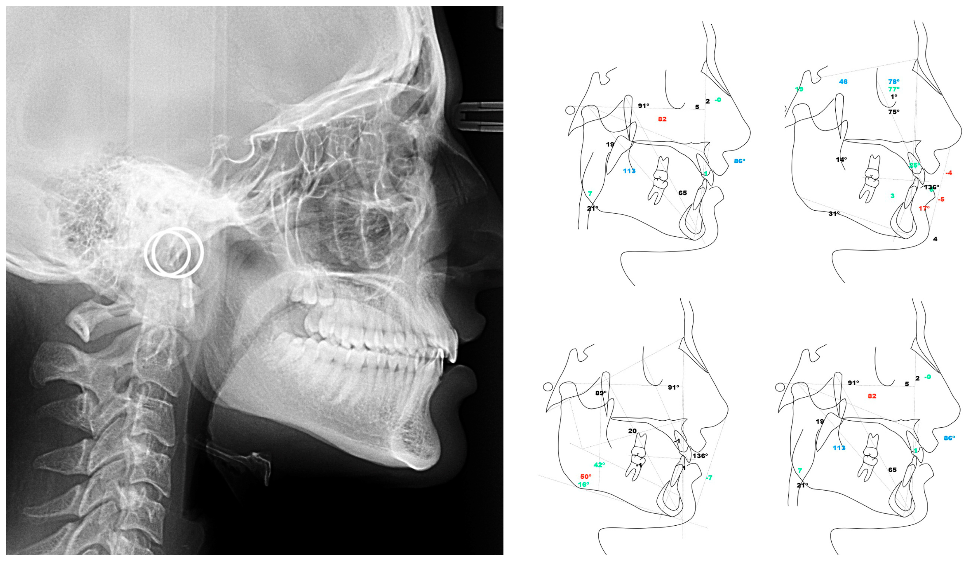 Sensors 24 01921 g002
