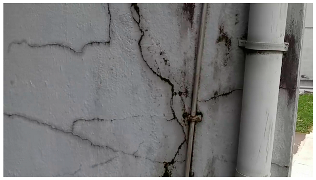 Sensors 24 01936 i023