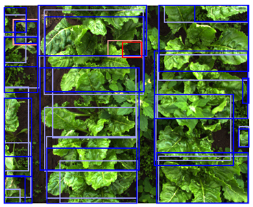 Sensors 24 01942 i007