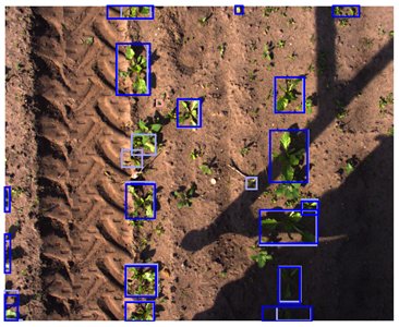 Sensors 24 01942 i014