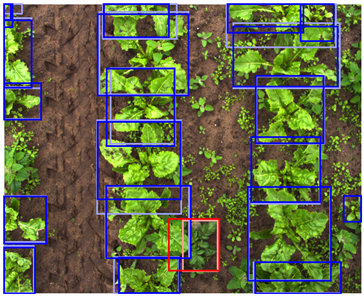 Sensors 24 01942 i015