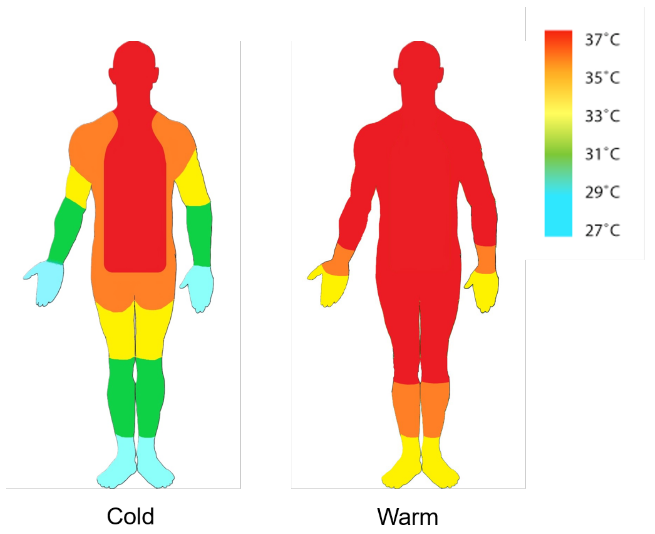 Sensors 24 01944 g002