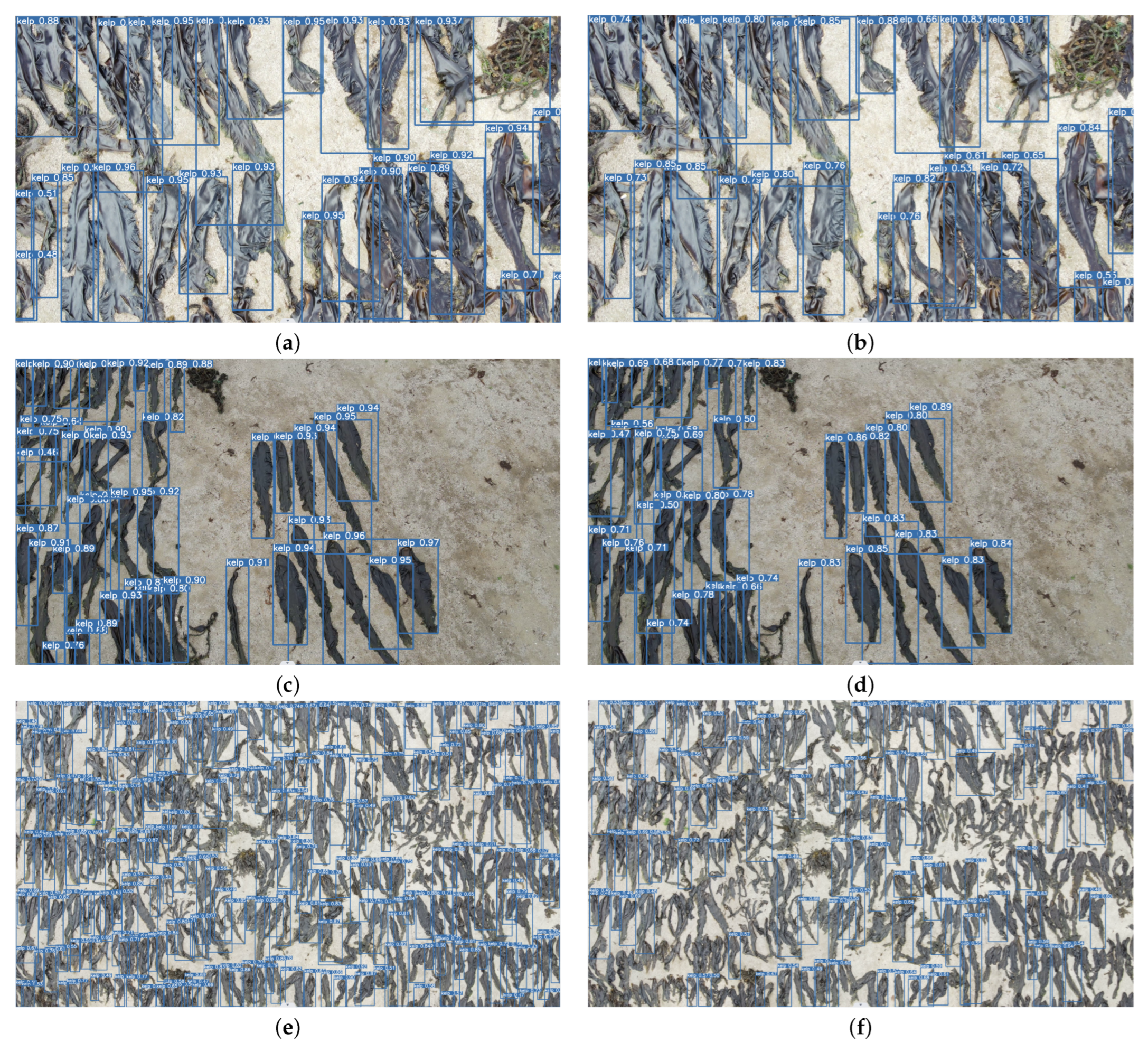 Sensors 24 01971 g007