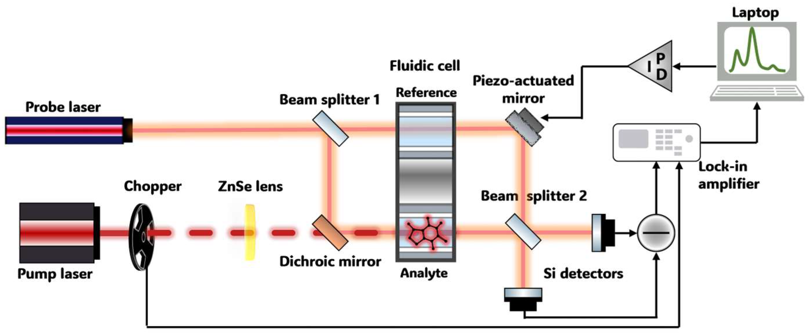 Sensors 24 01974 g001