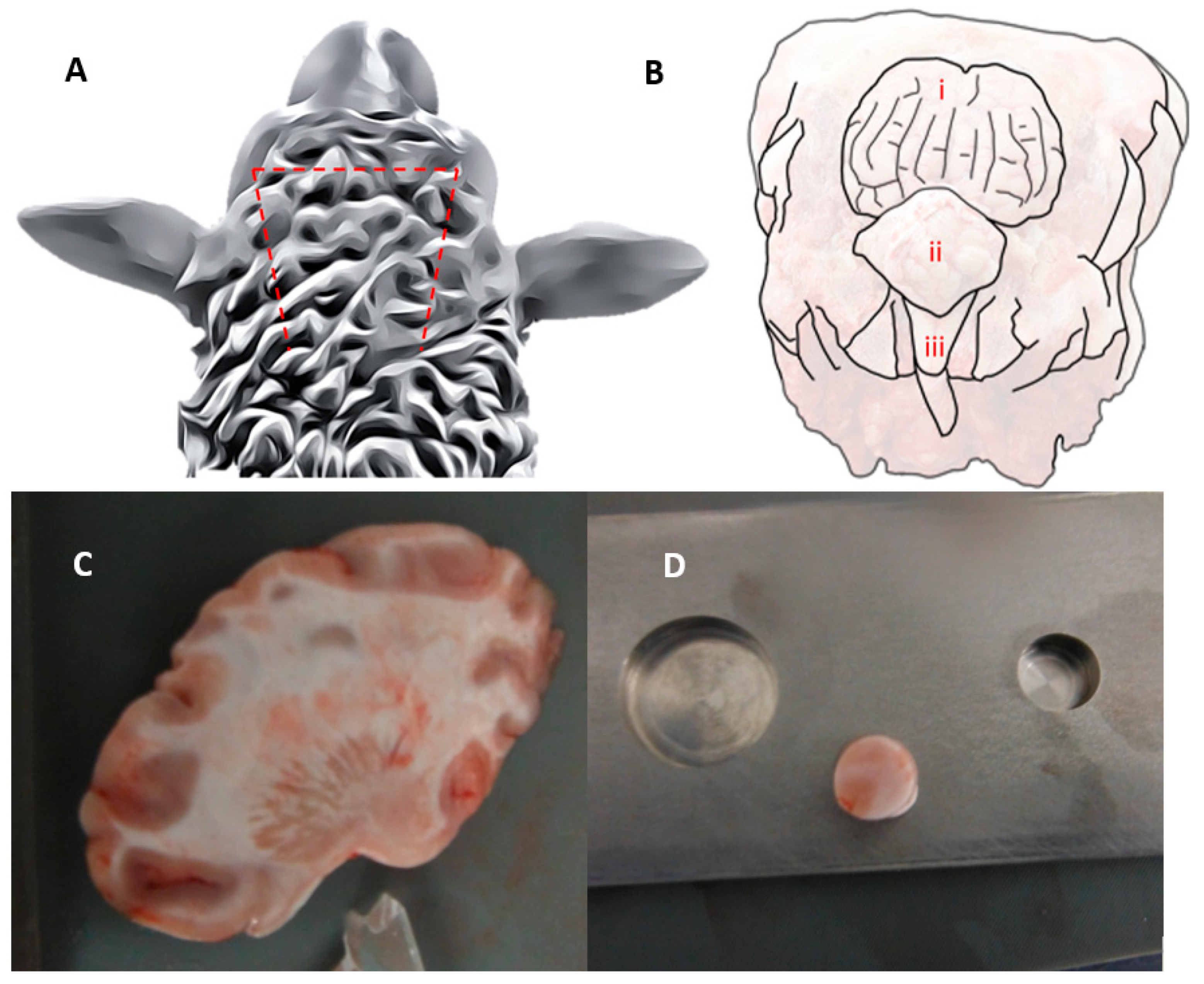 Sensors 24 02022 g001 Sensors 24 02022 g001