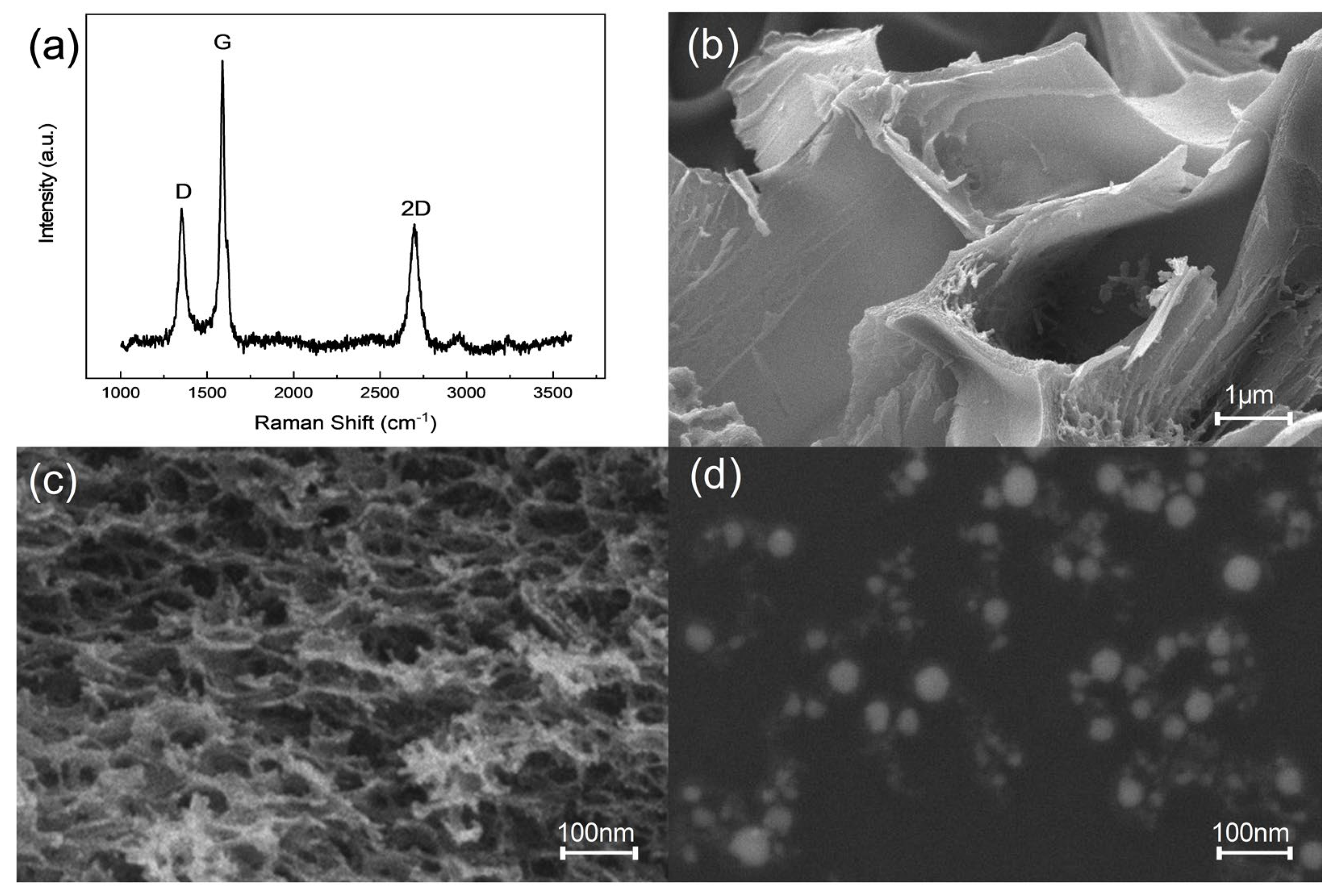 Sensors 24 02043 g003 Sensors 24 02043 g003