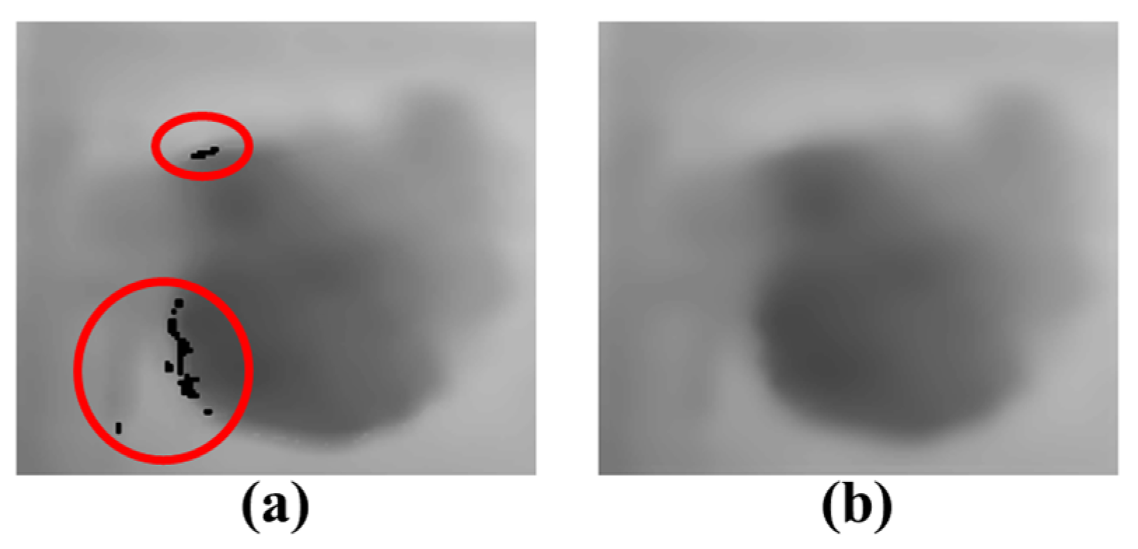 Sensors 24 02044 g011