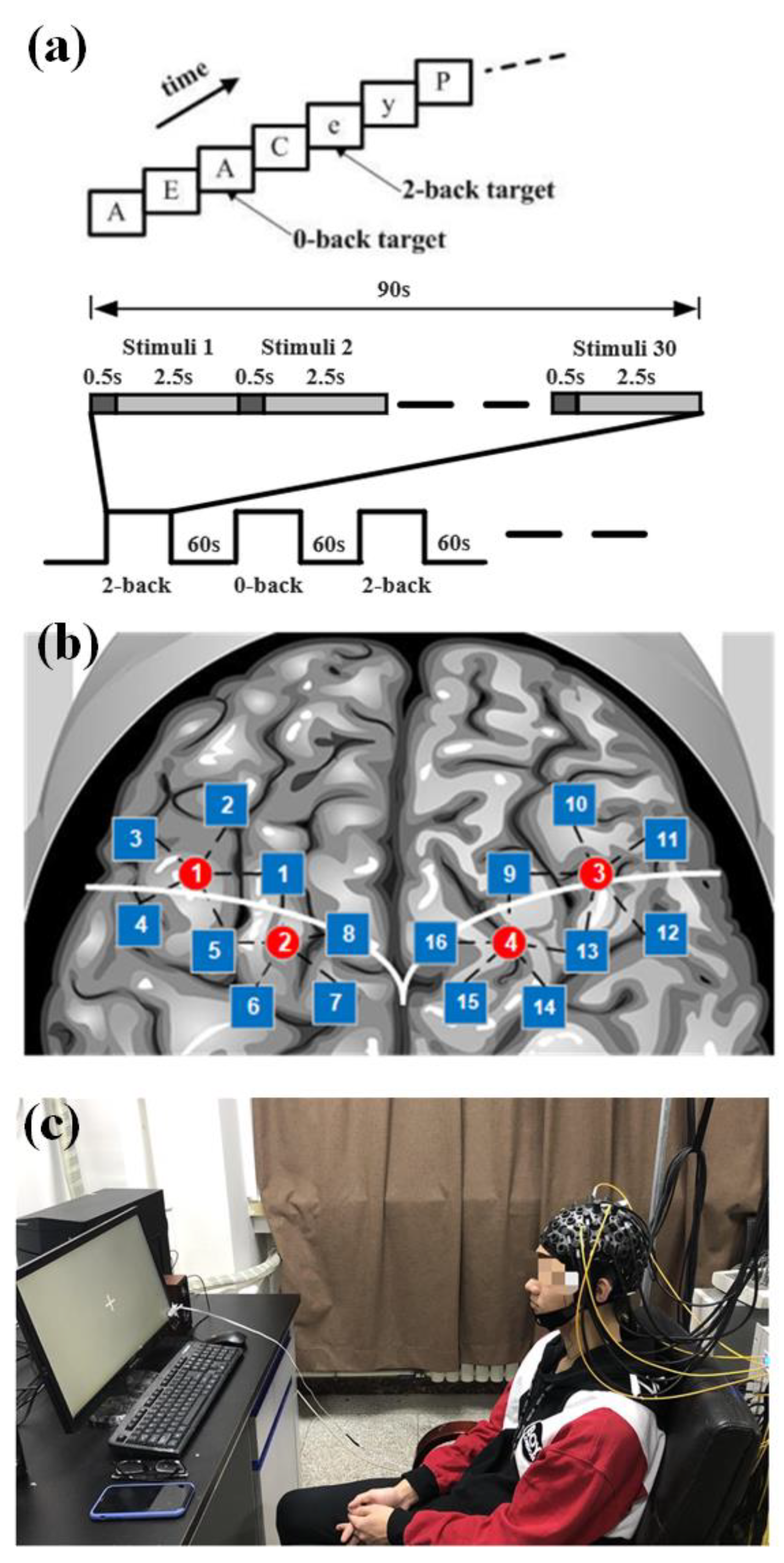 Sensors 24 02045 g005
