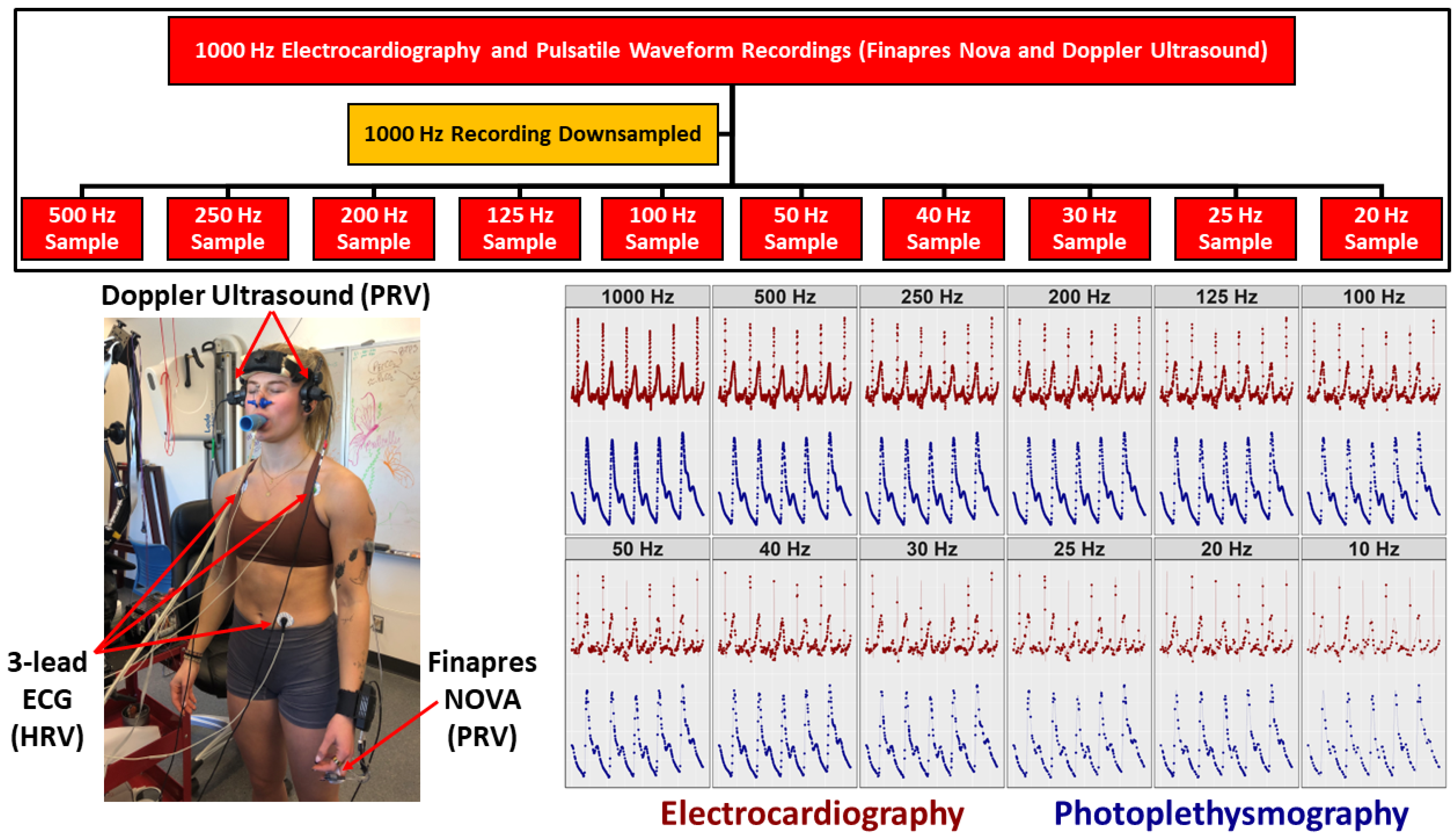 Sensors 24 02048 g001