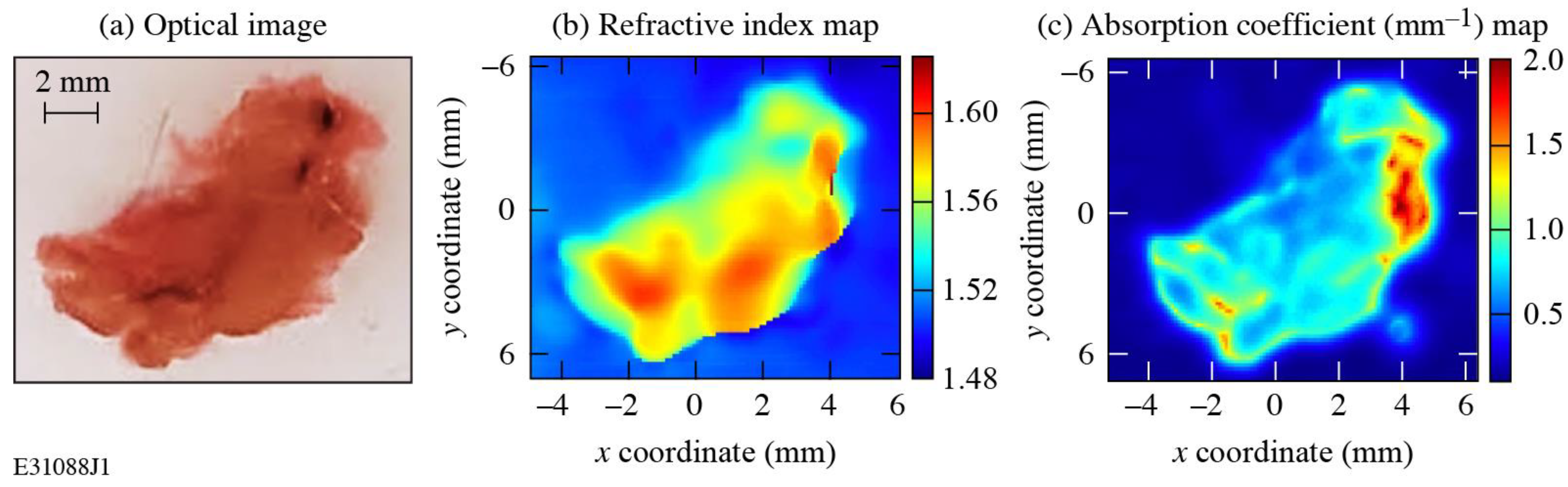 Sensors 24 02066 g006
