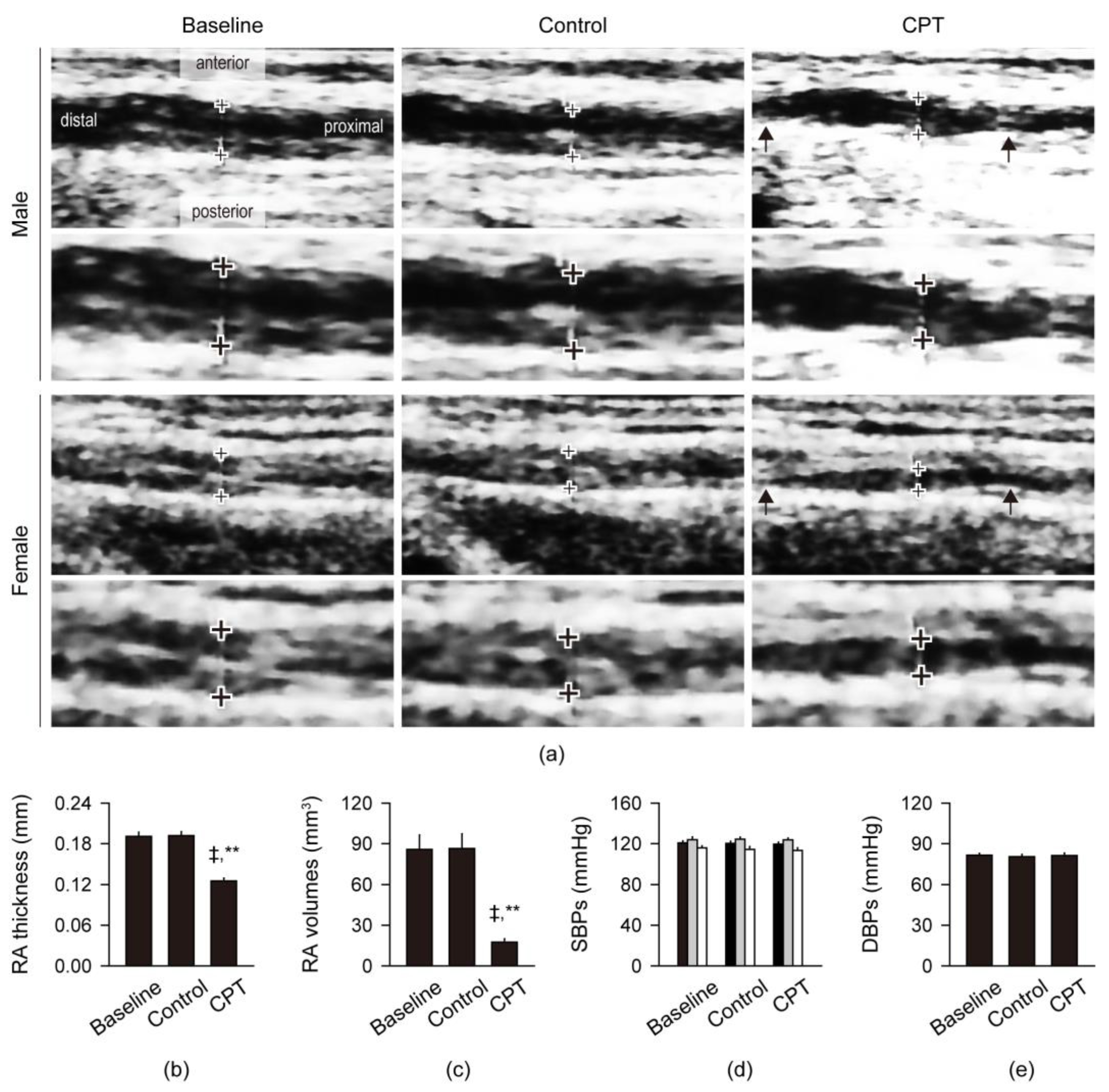 Sensors 24 02086 g002 Sensors 24 02086 g002