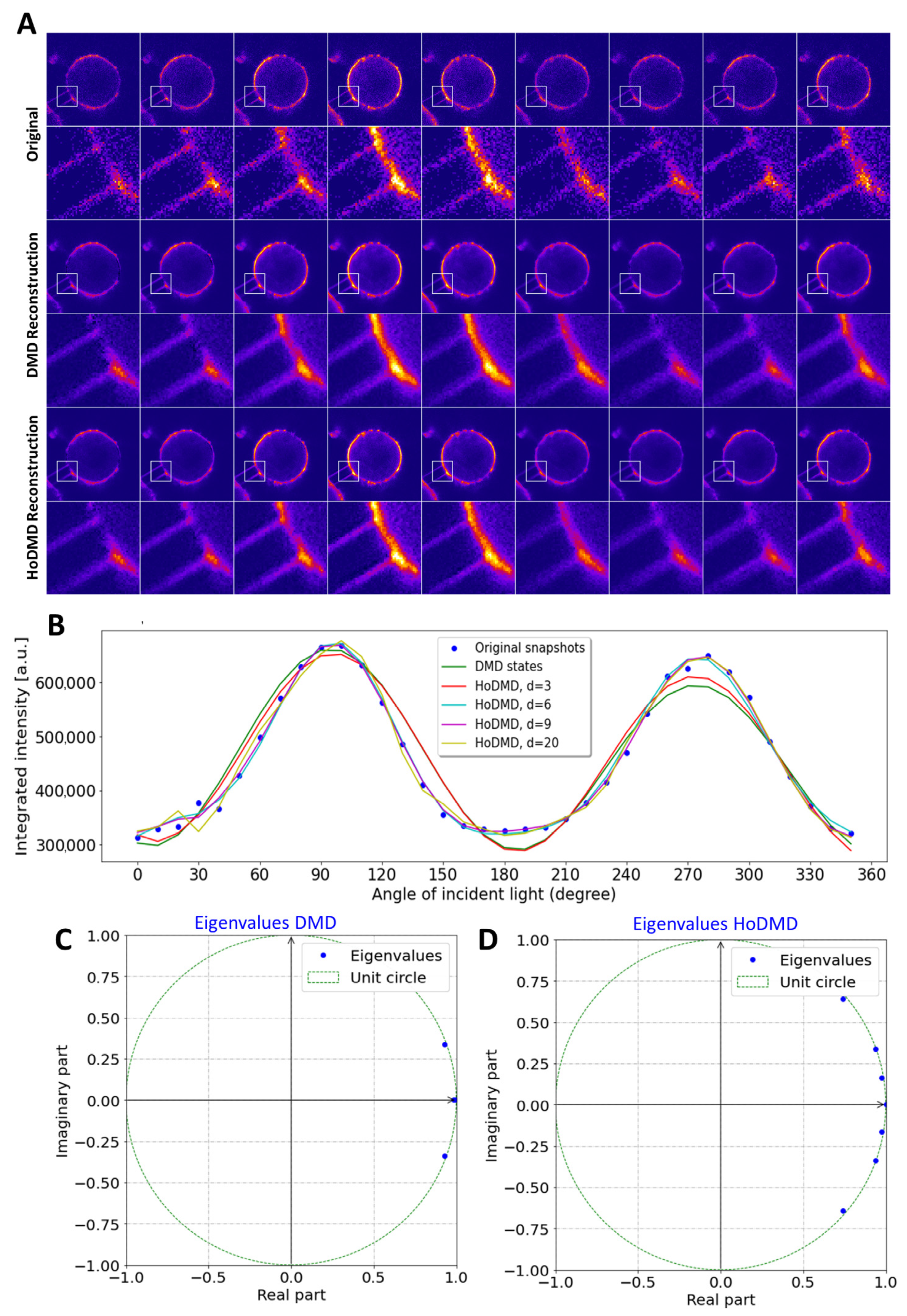 Sensors 24 02096 g005