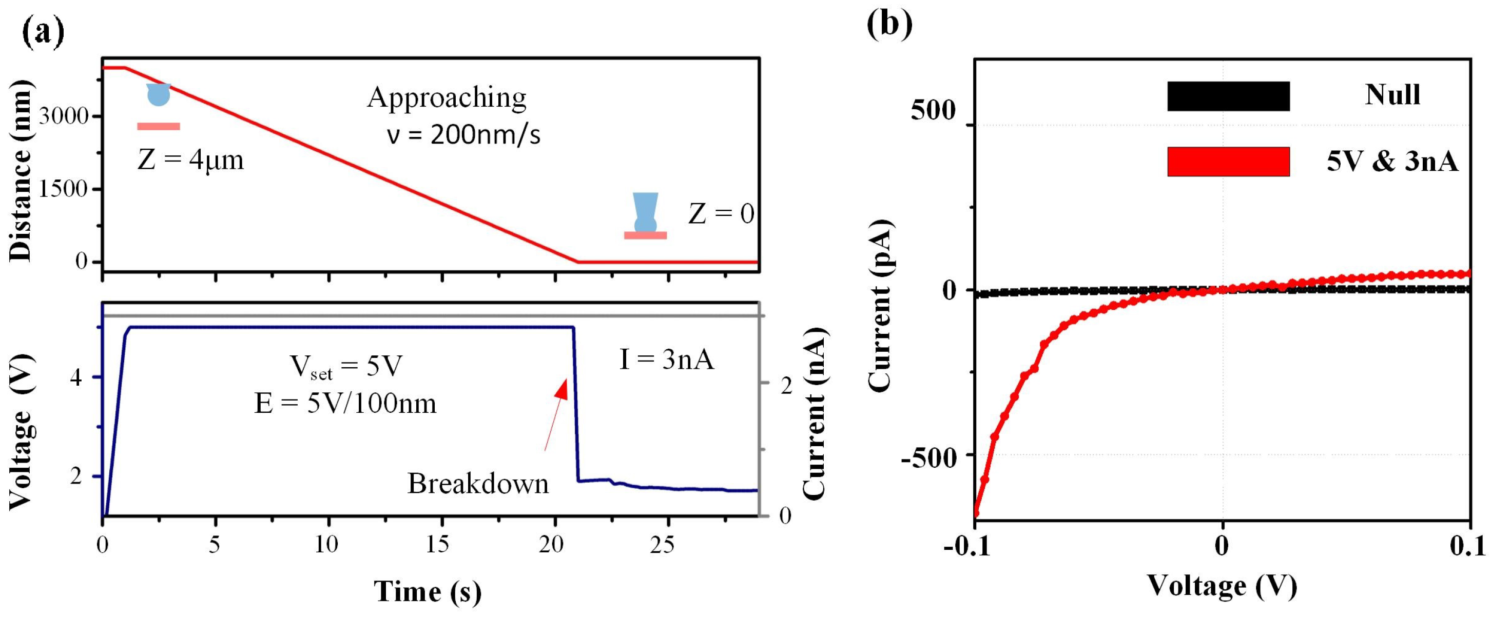 Sensors 24 02109 g002