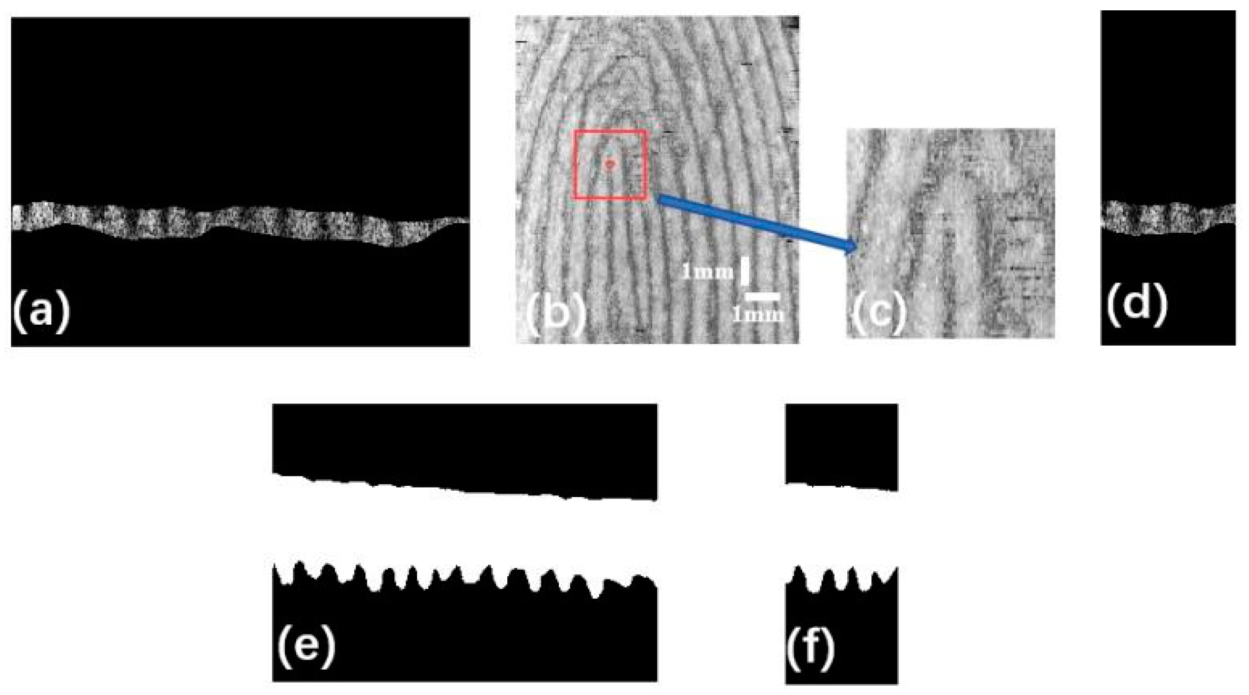 Sensors 24 02128 g003