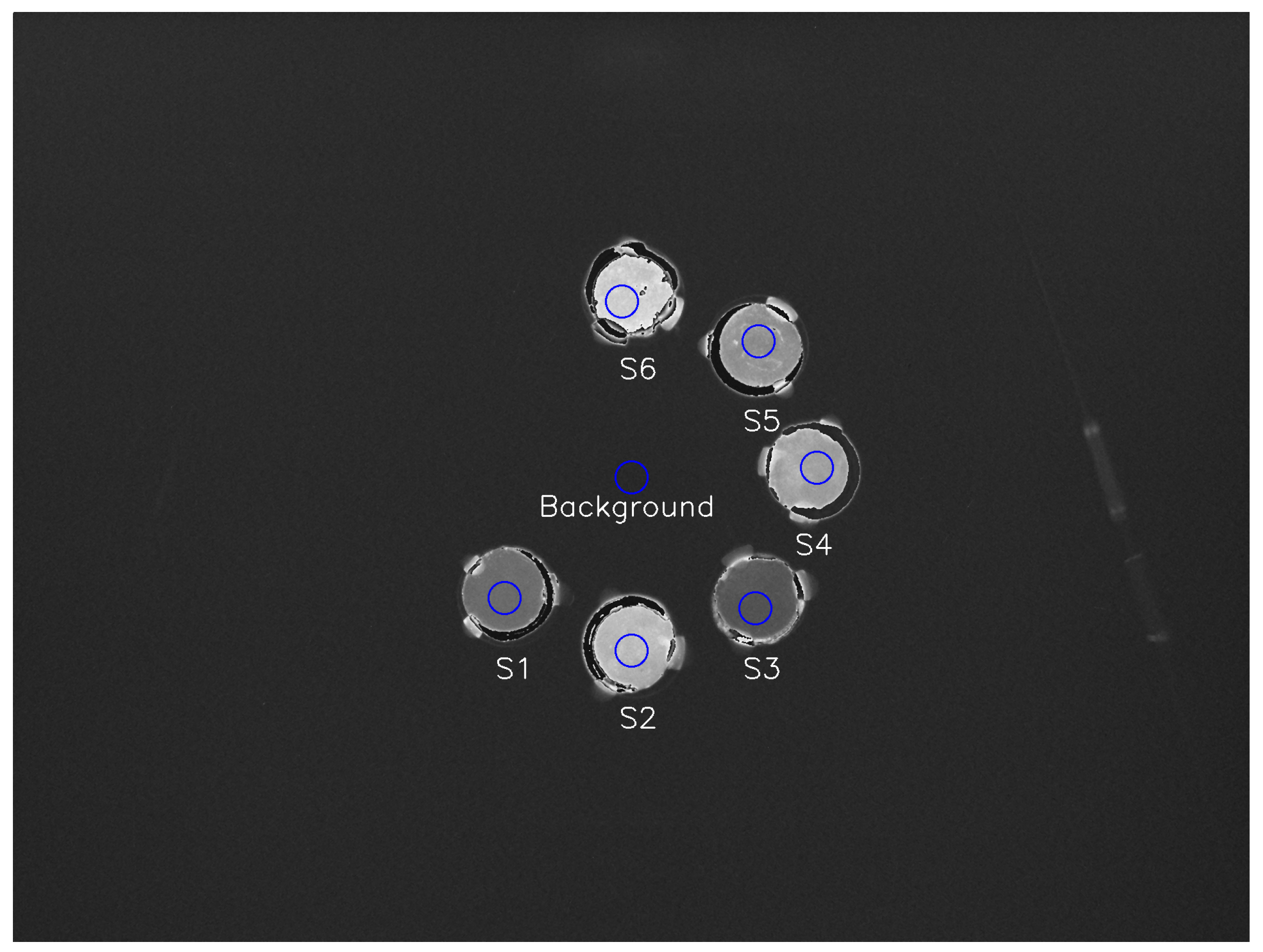 Sensors 24 02137 g002 Sensors 24 02137 g002