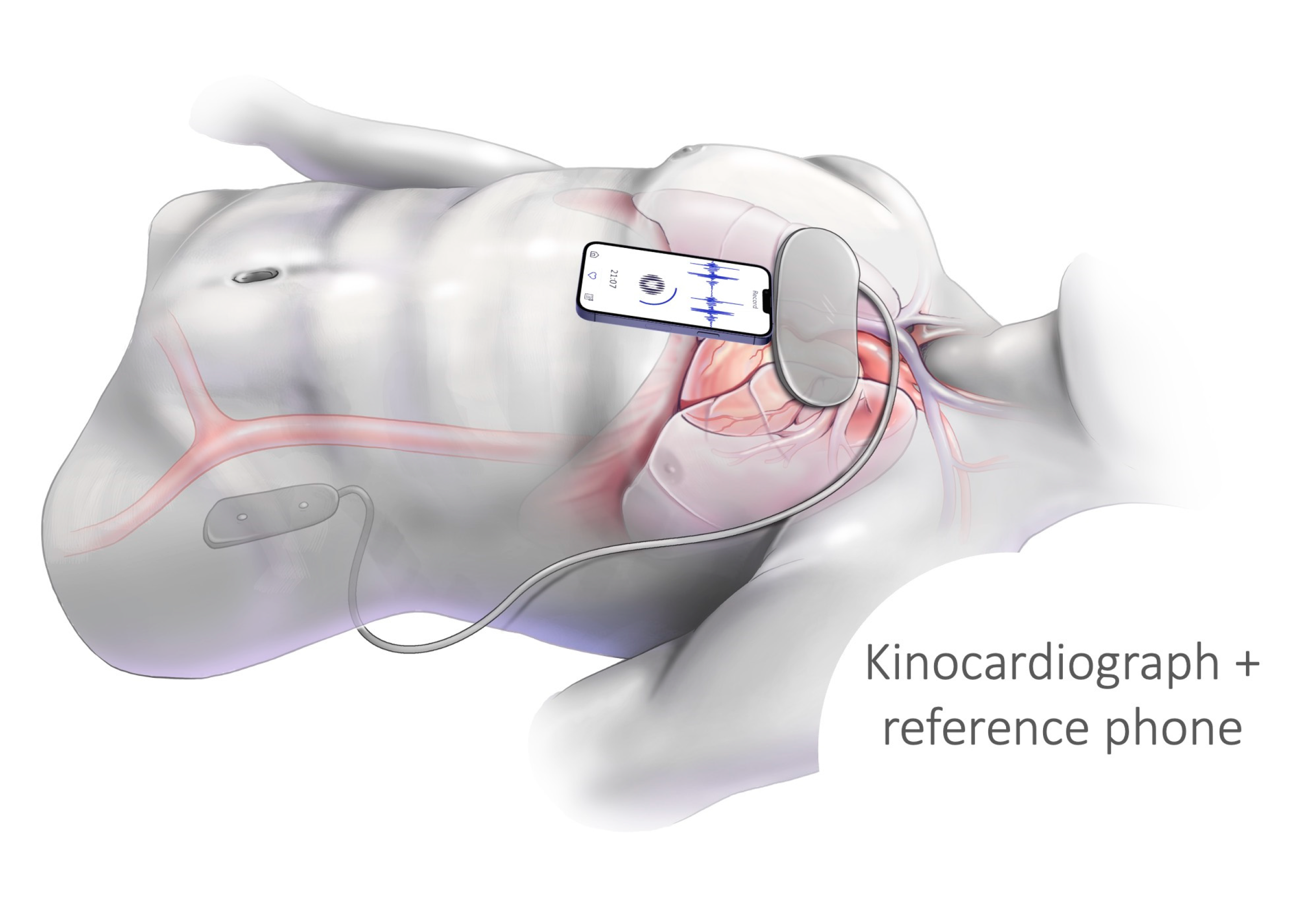 Sensors 24 02139 g002