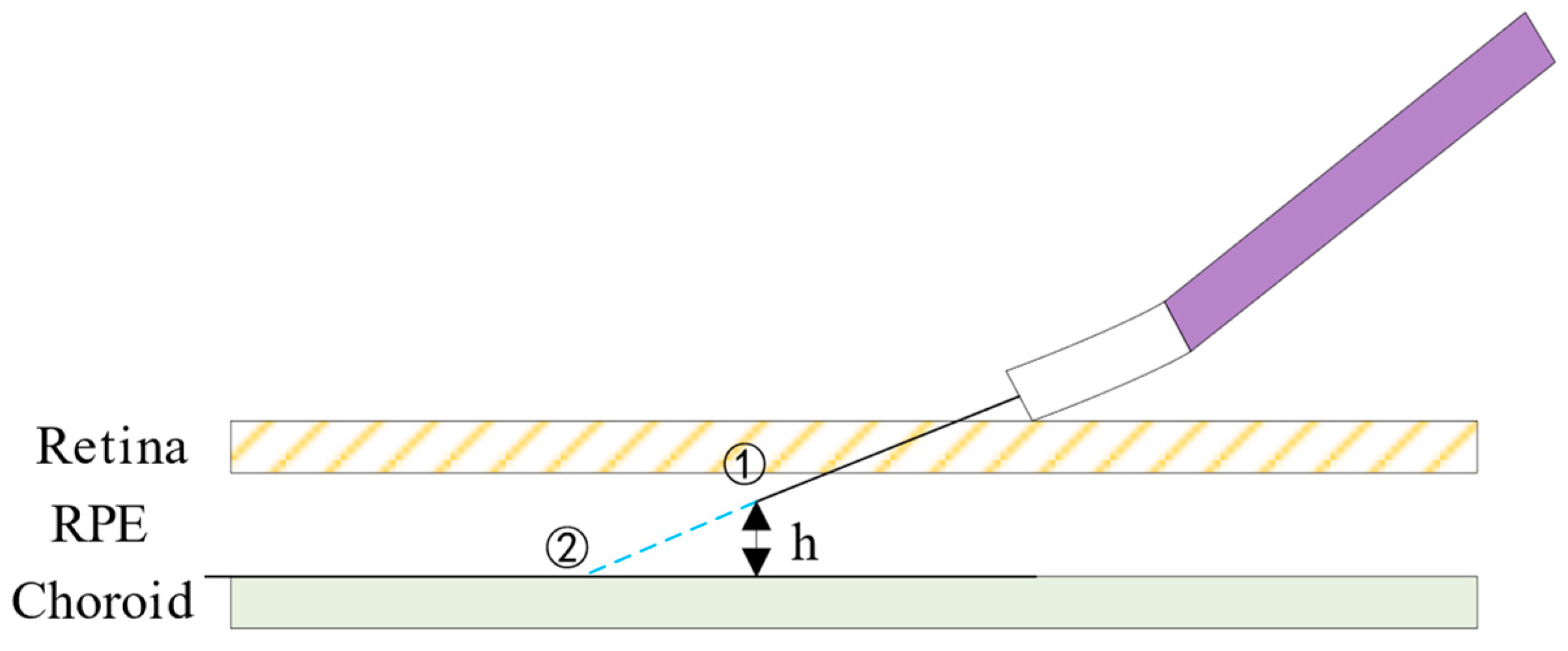 Sensors 24 02140 g005