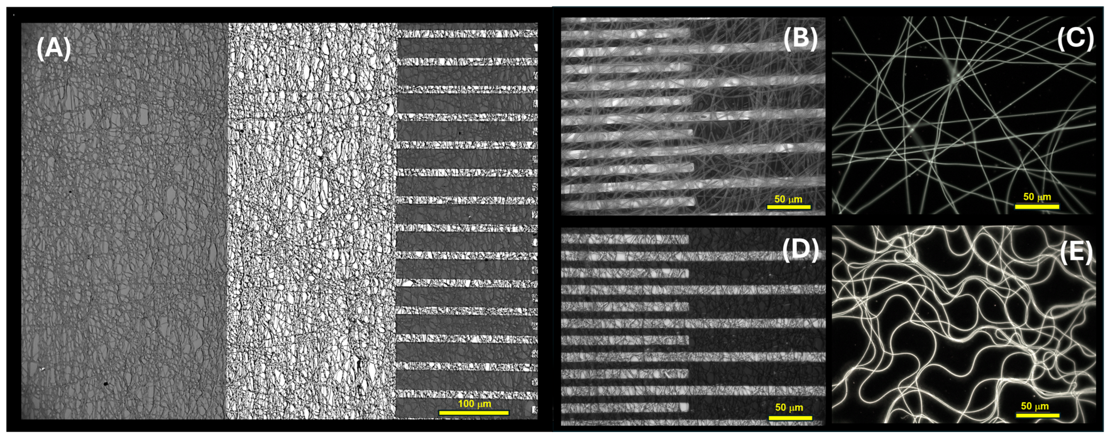 Sensors 24 02174 g005
