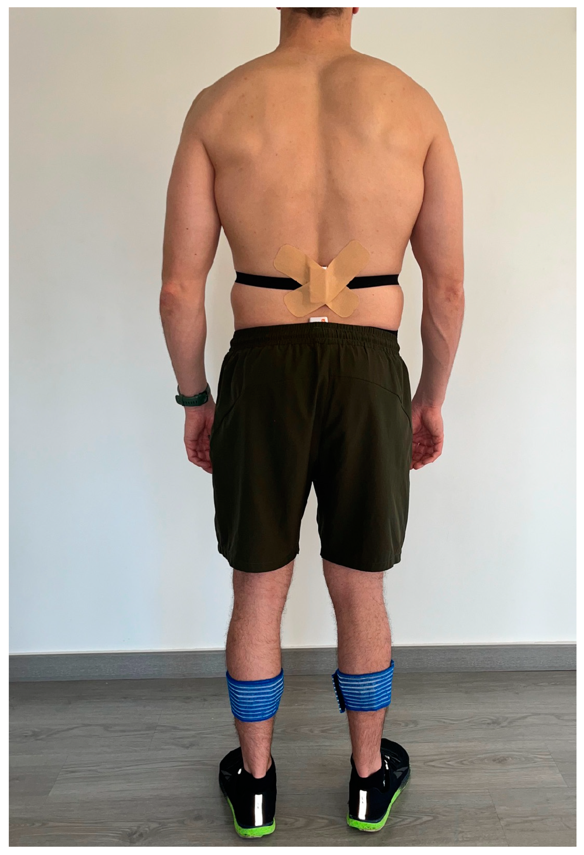 Sensors 24 02191 g001