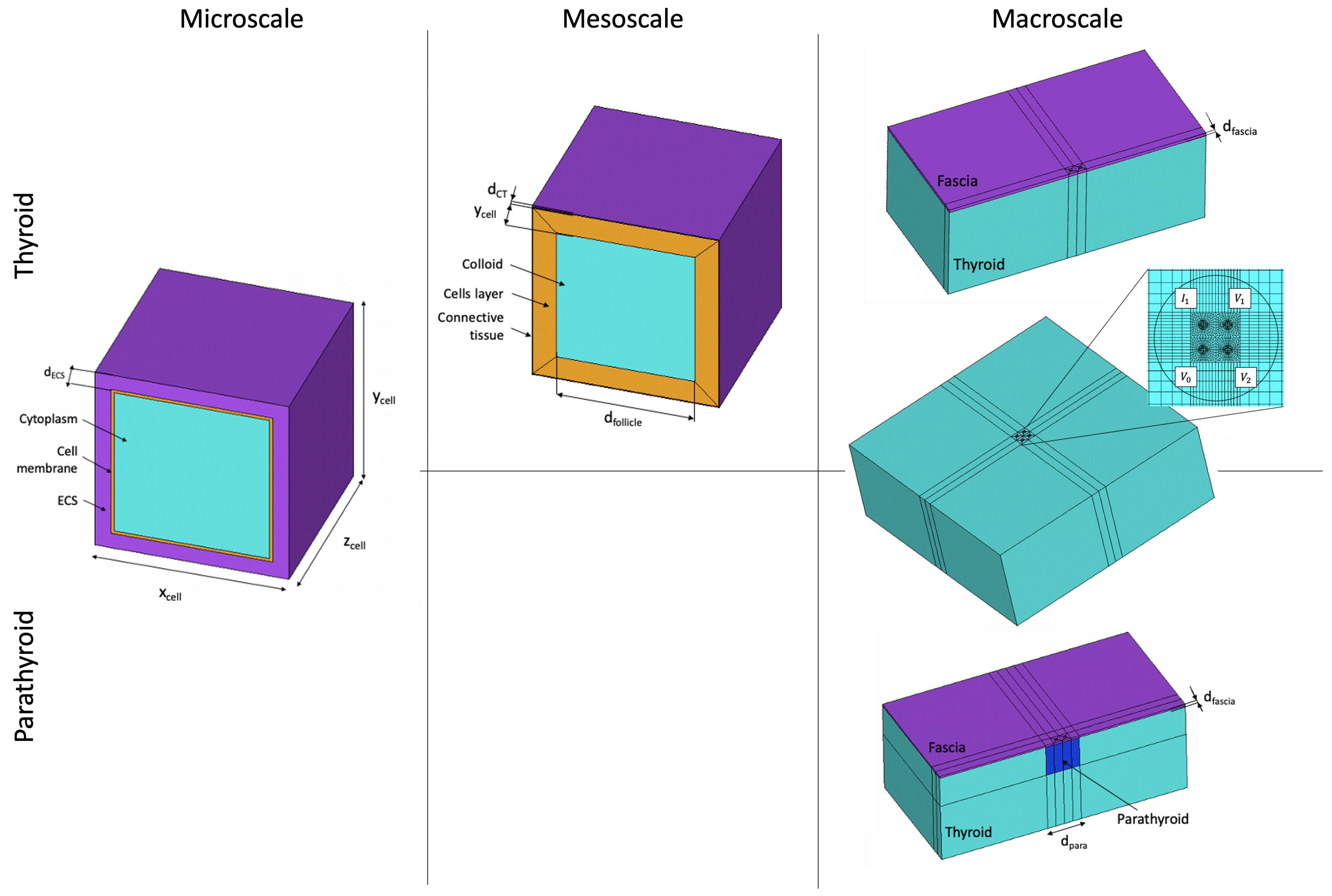 Sensors 24 02198 g002
