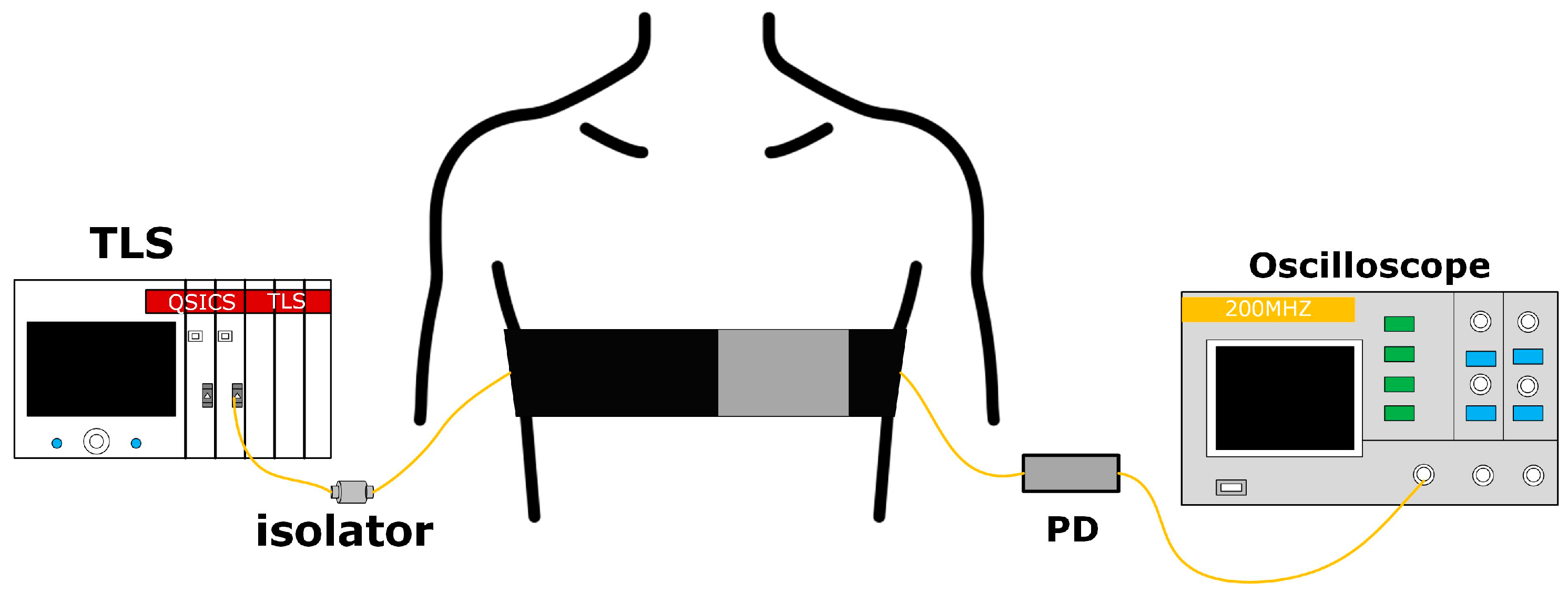 Sensors 24 02209 g006