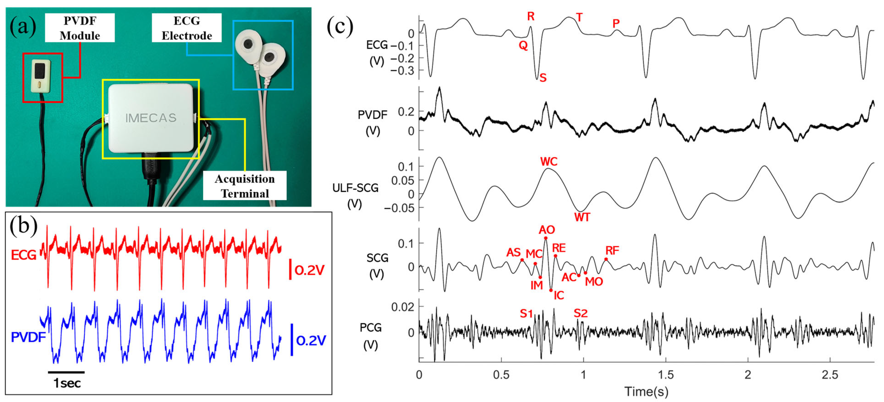 Sensors 24 02235 g005