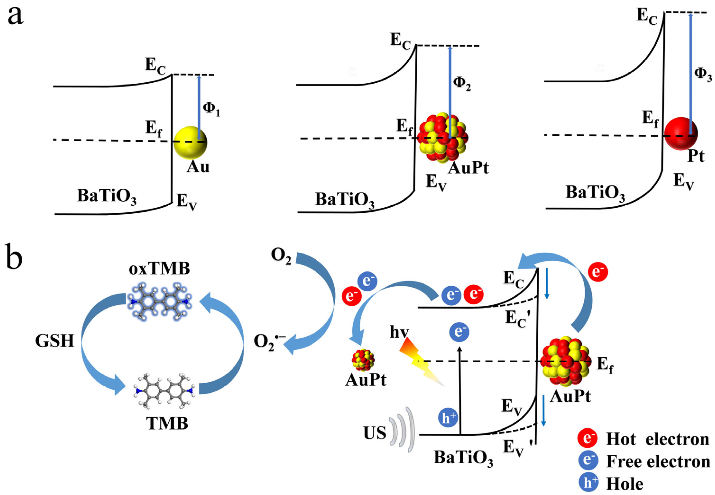 Sensors 24 02242 sch001